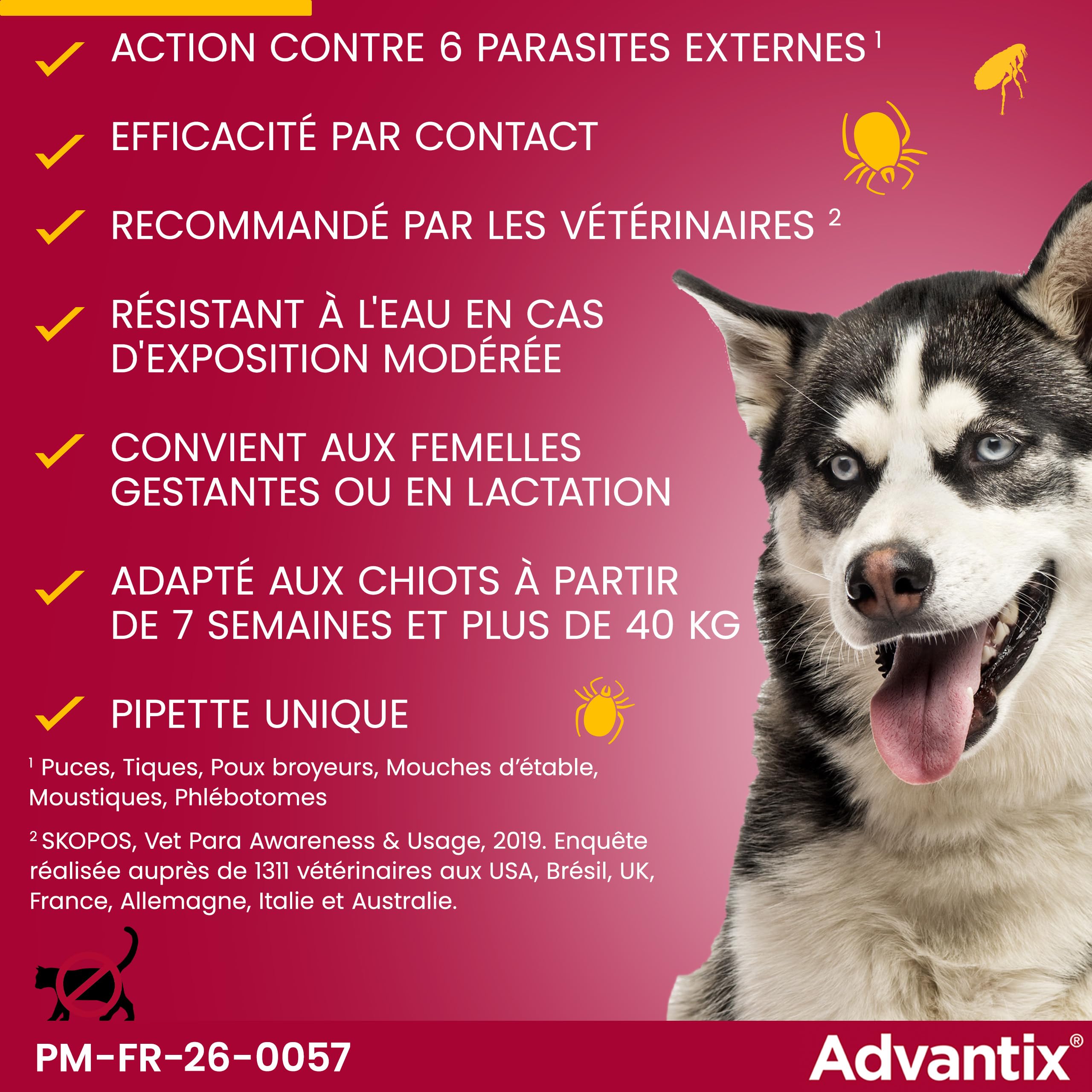 Advantix Très Grand Chien entre 40 et 60 kg – Pipettes pour chien contre 6 parasites – Traitement en pipette pour une protection en continu pendant 4 semaines – 6 x 6,0 ml