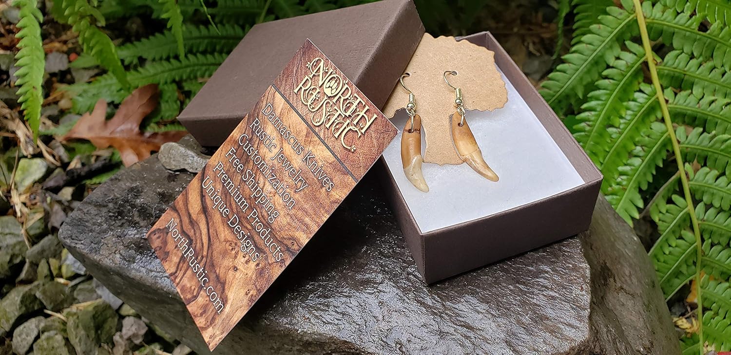 Coyote Tooth Earrings Real Teeth Drop Dangle Jewelry Polished Fangs Rustic Outdoors (AQCE)
