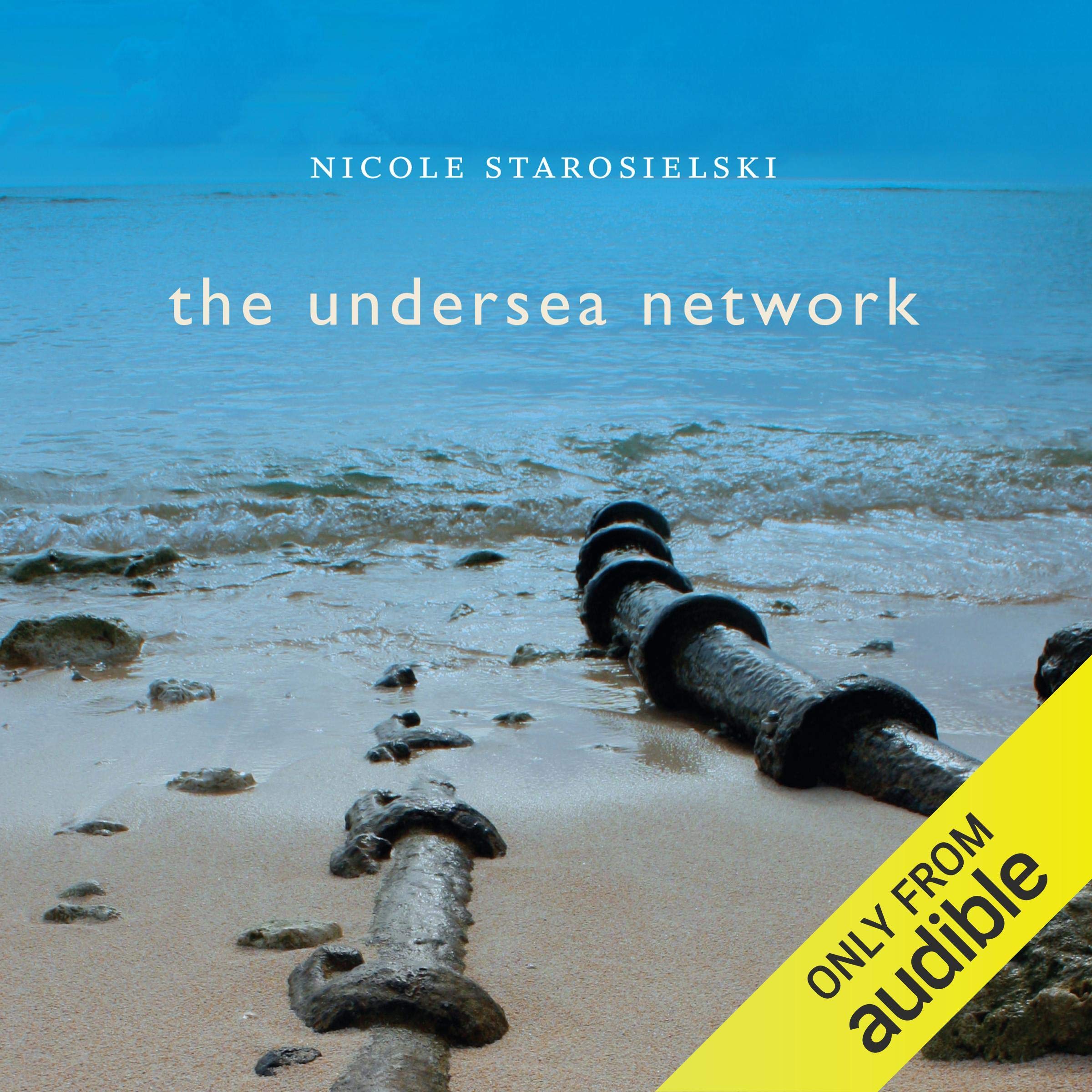 Cover art for The Undersea Network