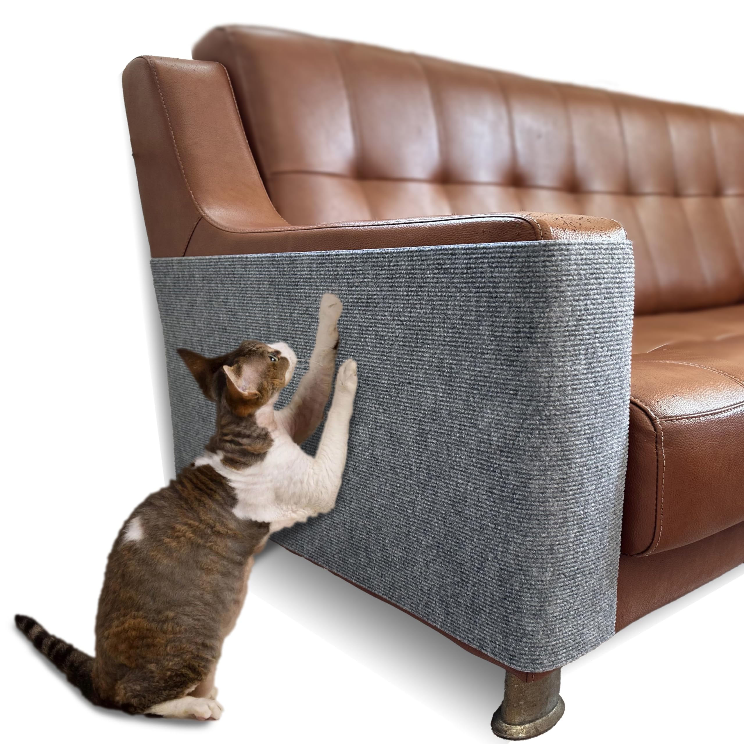 Tapis protection canapé chat gris pour un salon préservé au quotidien