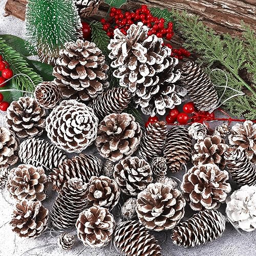 Vista 5 de Fovths 66 Pieces Snow White Christmas Pine Cones Ornaments with String Natural Rustic Pine Cones Bulk Assorted Sizes Xmas Tree Hanging Pinecone Nieve