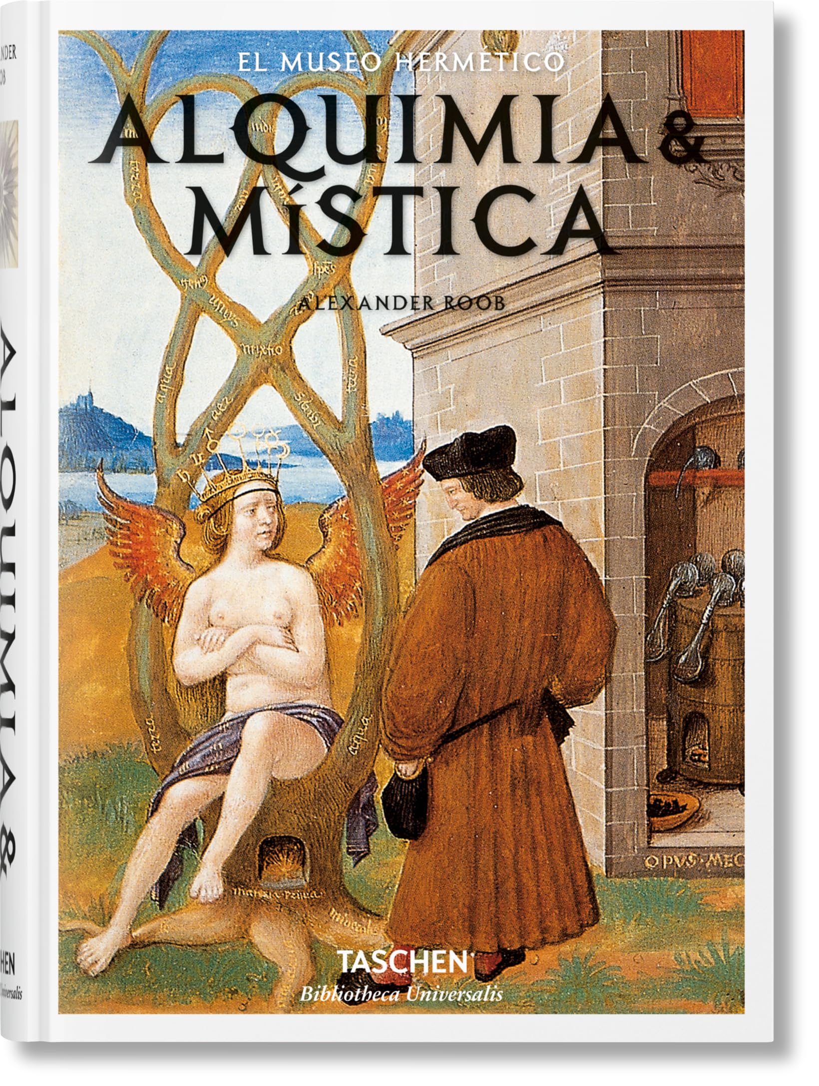 Alquimia & mística (Bibliotheca Universalis)