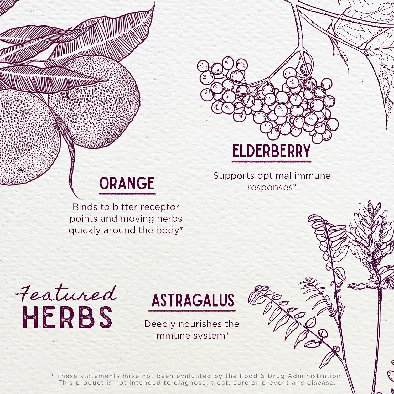 WishGarden Herbs Organic Elderberry Syrup for Kids - Childrens Elderberry Syrup with Black Elderberry, Astragalus, Orange Peel & Honey, Daily Immune Booster for Kids, Children 1+, No Sugar Added, 4oz