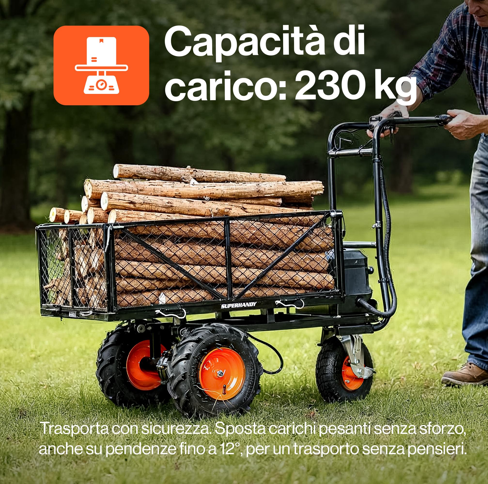 SuperHandy Carriola elettrica Utility 48 V, carico 230 kg, trazione 460 kg