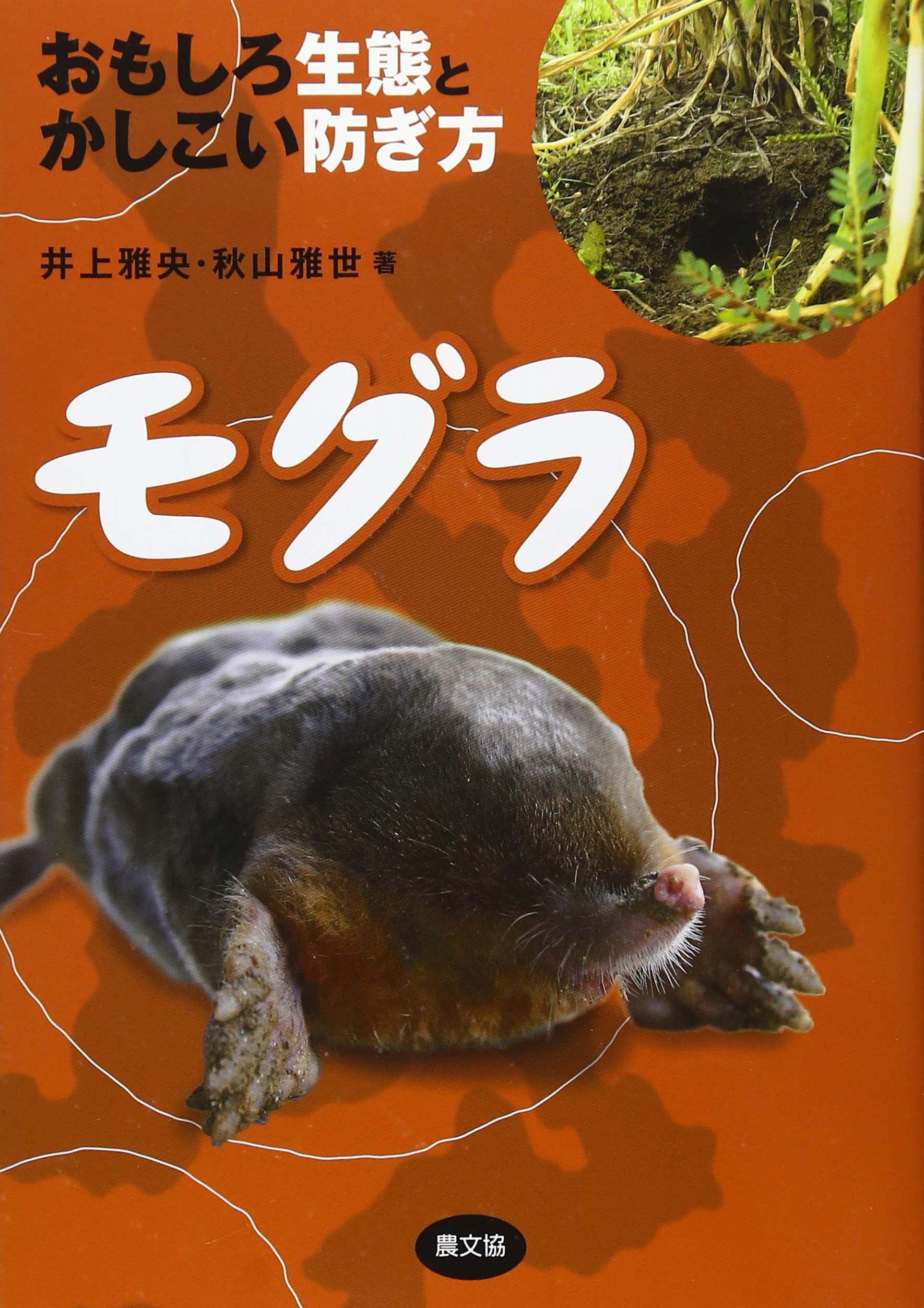 Amazon.co.jp: モグラ: おもしろ生態とかしこい防ぎ方 : 井上 雅央