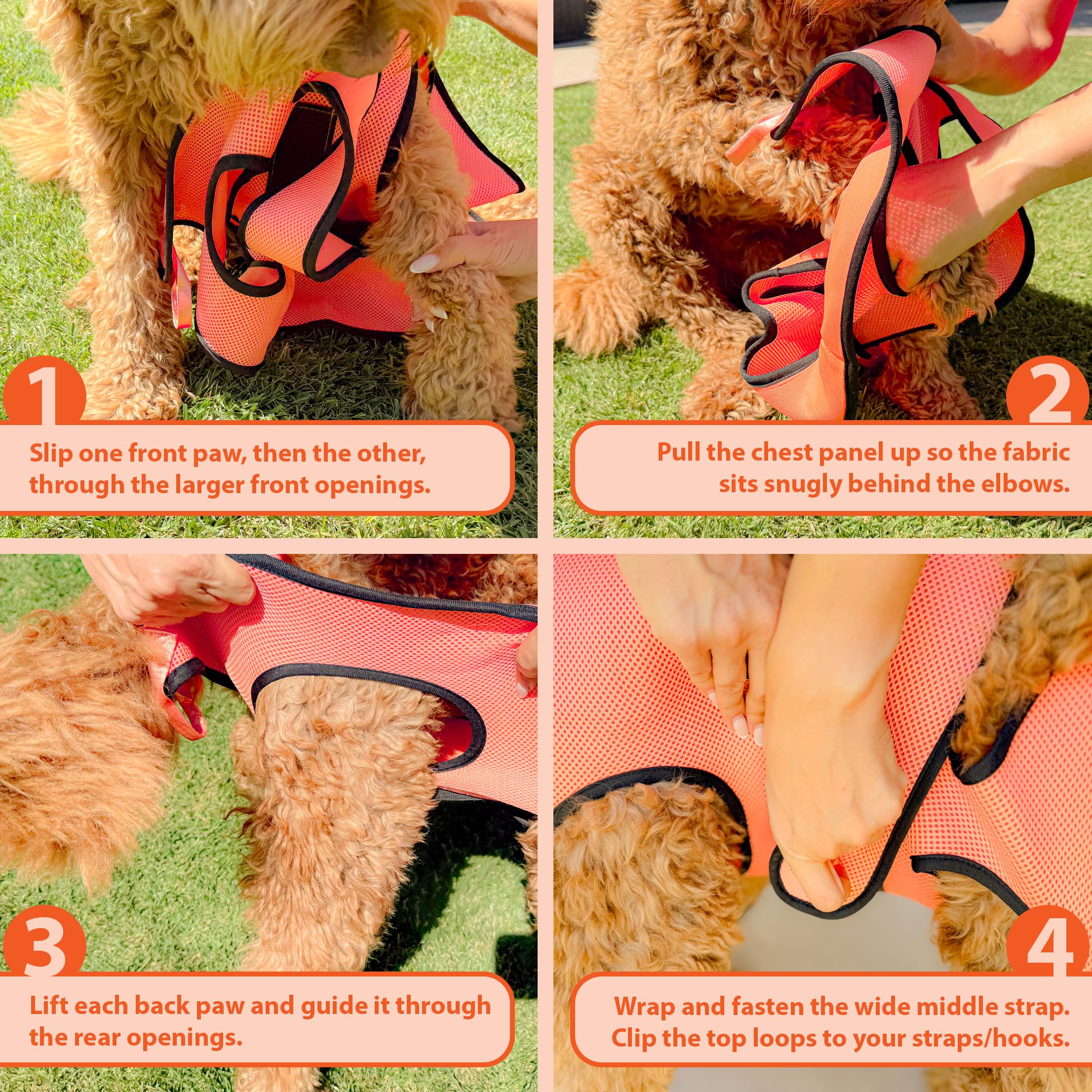 PawsUp Haustierpflege-Hängematten-Set für große Hunde, 4-in-1 professionelles Pflegeschlinge zum Nageltrimmen, inklusive robustem Clipper, Nagelfeile und Stahlkamm, Grün