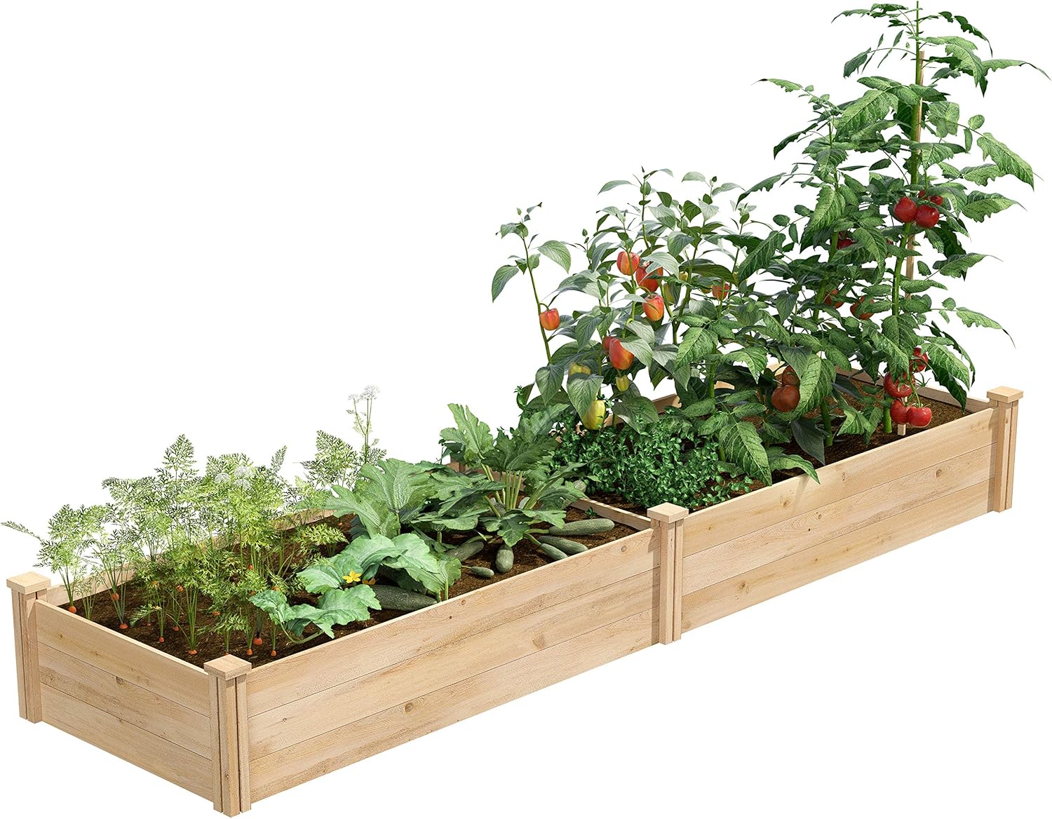 Greenes Fence Classic Cedar Raised Garden Bed, 4' x 8' x 10.5" (1/2" Thick) - Made in USA with North American Cedar