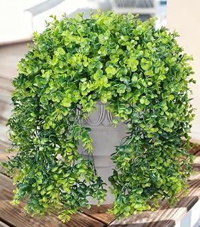 Ivydale 2-Pack UV Resistant Fake Hanging Eucalyptus Plants - Realistic Faux Greenery for Outdoor Porch Patio Garden Yard Decor