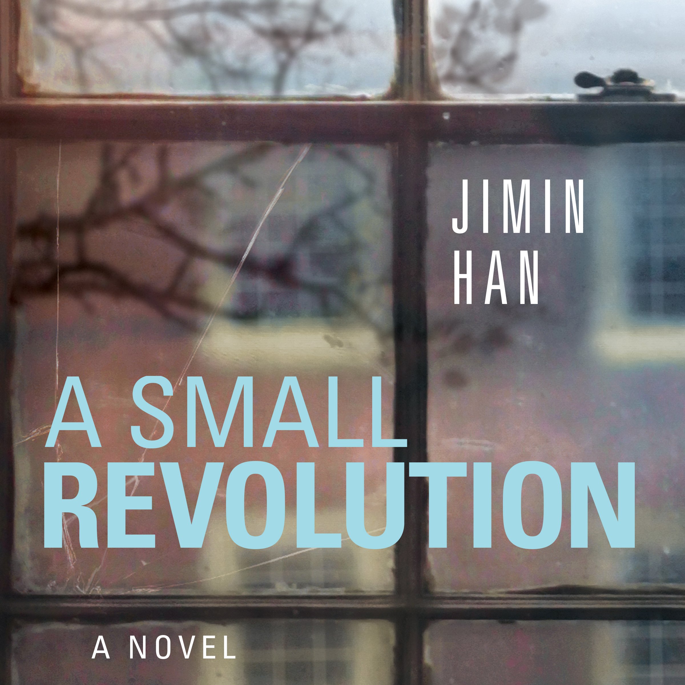 Cover art for A Small Revolution