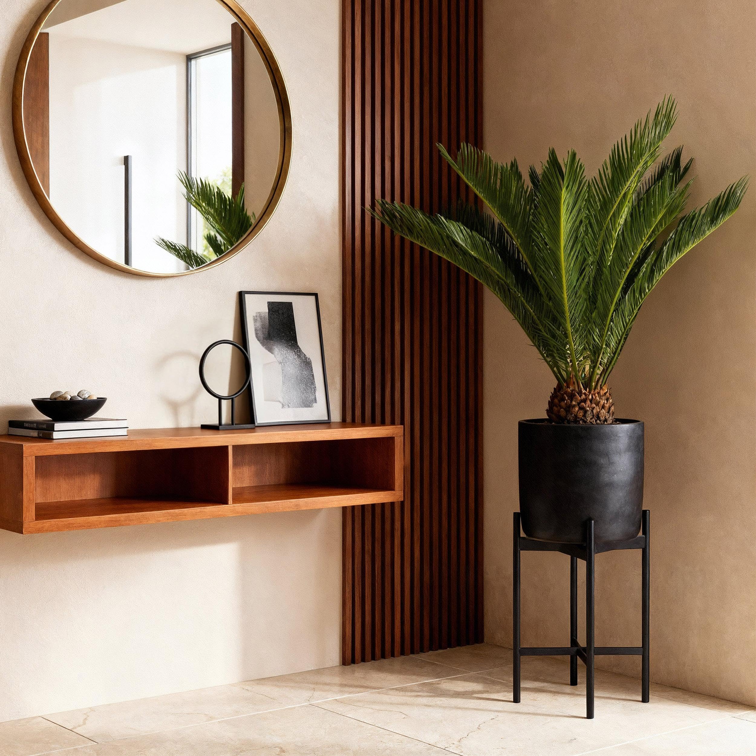 Cycas revoluta - Fougère palmiste - Peu d'entretien - Vert - 60-70cm - Ø17cm - Plante d'intérieur - Vert persistant