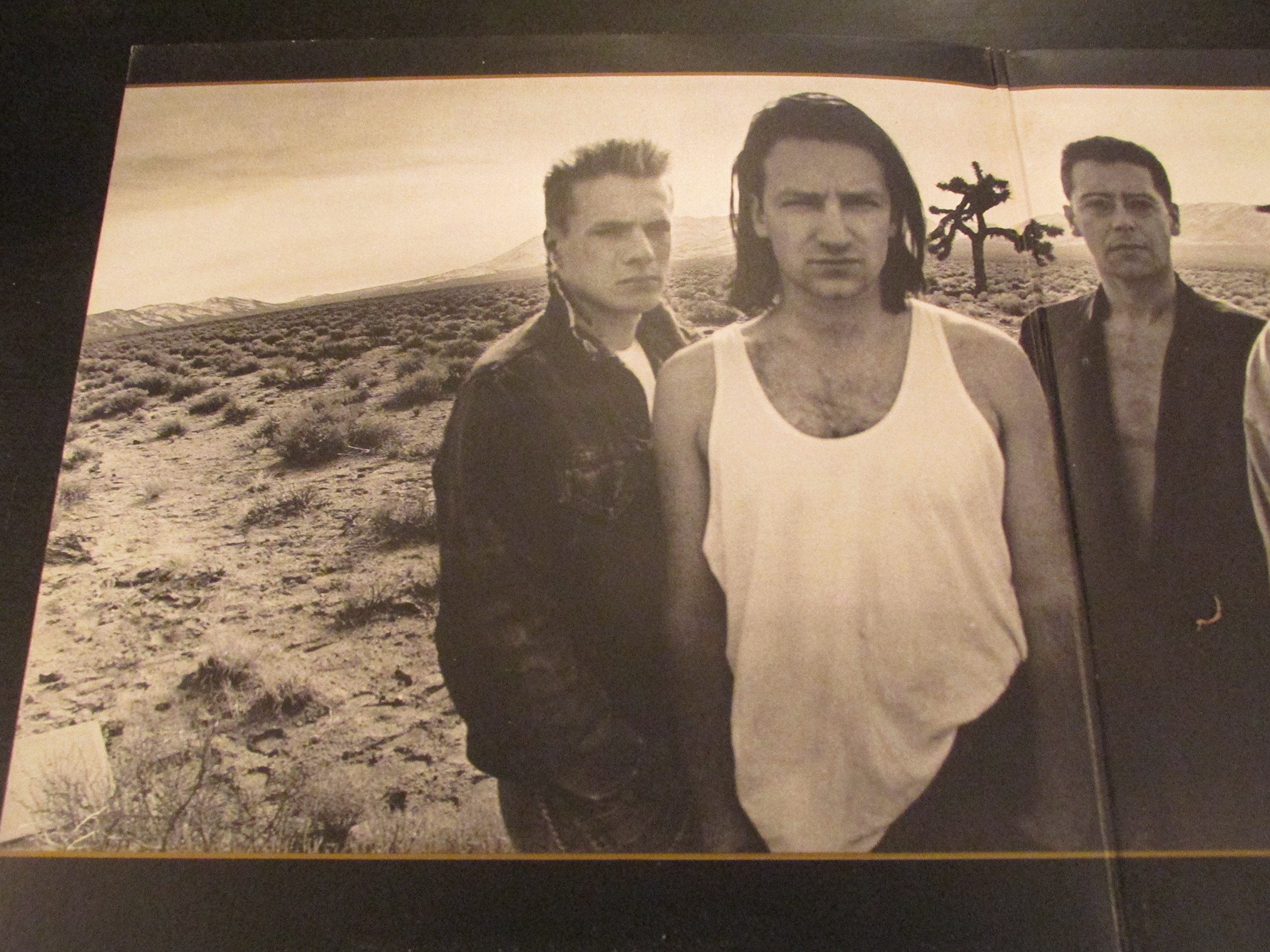 The Joshua Tree