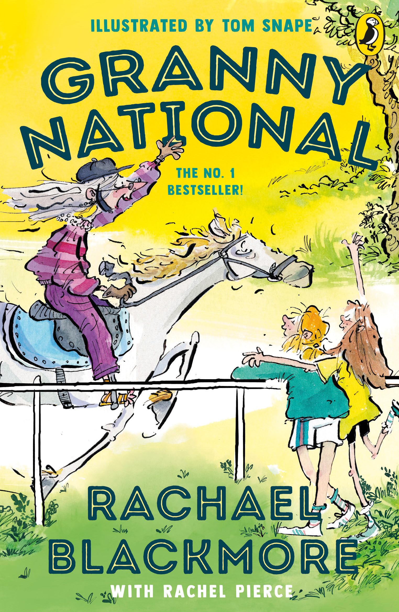 Granny National: A wildly fun horse-riding story for kids aged 8-10, written by the Grand National-winning Irish jockey