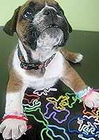 Vista 6 de Silly Bandz - Paquete Ártico - 24