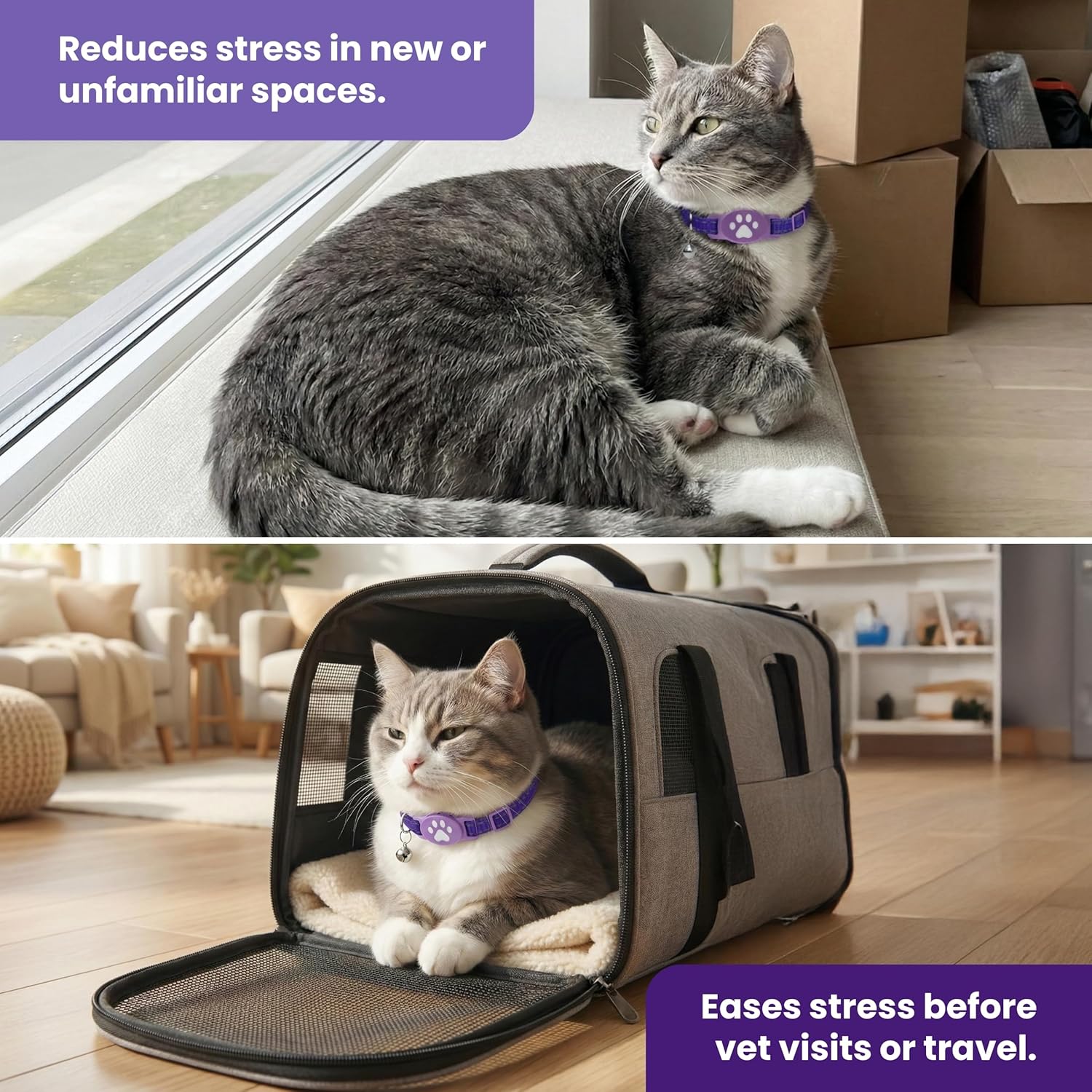Breakaway Calming Collar Plus - Advanced Feline Pheromone System with Essential Oil Support for Cats – True Breakaway Safety Clasp, Reusable Design, Lasts Up to 60 Days – by Kitty Kompass