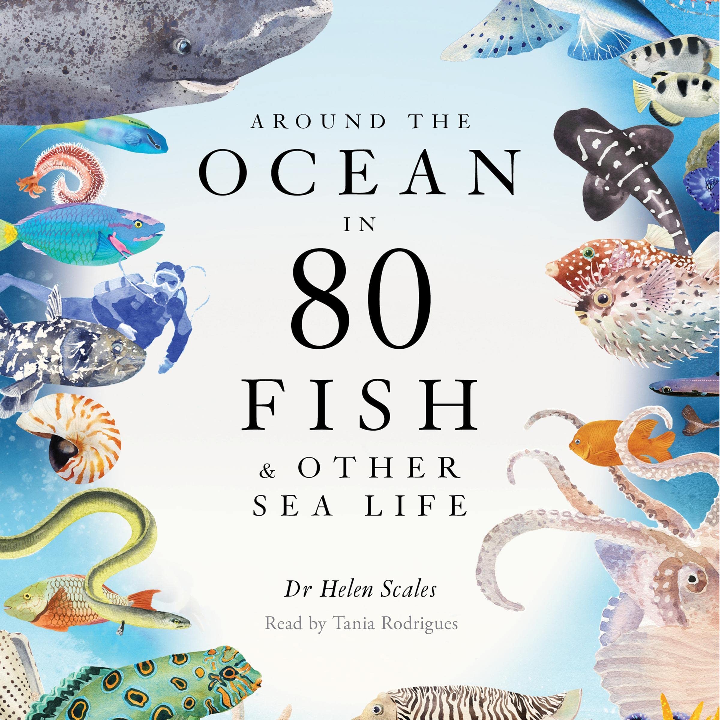Cover art for Around the Ocean in 80 Fish and Other Sea Life