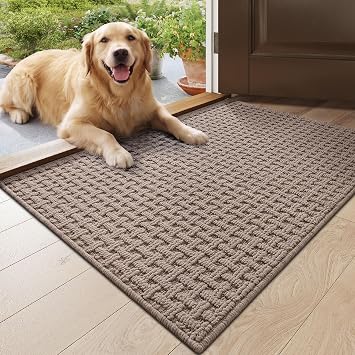 DEXI Washable Door Mat Indoor Entrance 24x36, Entryway Doormats, Beige | Low Profile, Dirt-Trapping & Absorbent, Non Slip Rubber Backing, Front Rug for Inside House, Backdoor, Patio, Porch