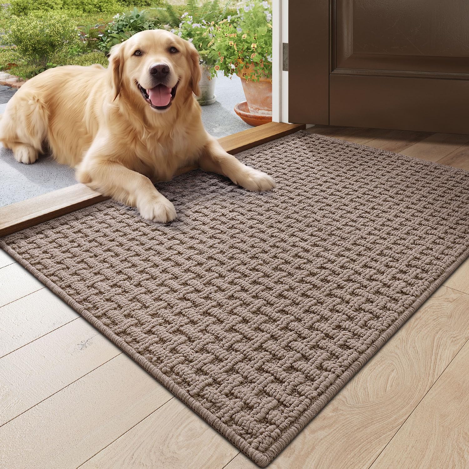 Amazon.com: DEXI Door Mat Indoor Entrance 24x36, Entryway Doormats