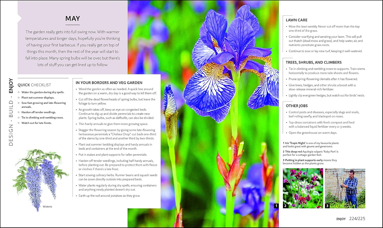 RHS How to Create your Garden: Ideas and Advice for Transforming your Outdoor Space 12 91Mi6i2yKiL. SL1500