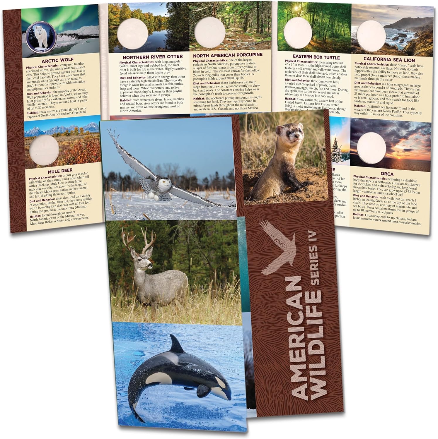 Littleton Coin Company American Wildlife Series IV Folder Coin Storage