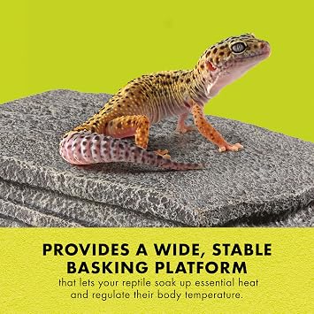 Zilla Herp Hotel Naturalistic Hide, Bearded Dragon Basking Platform
