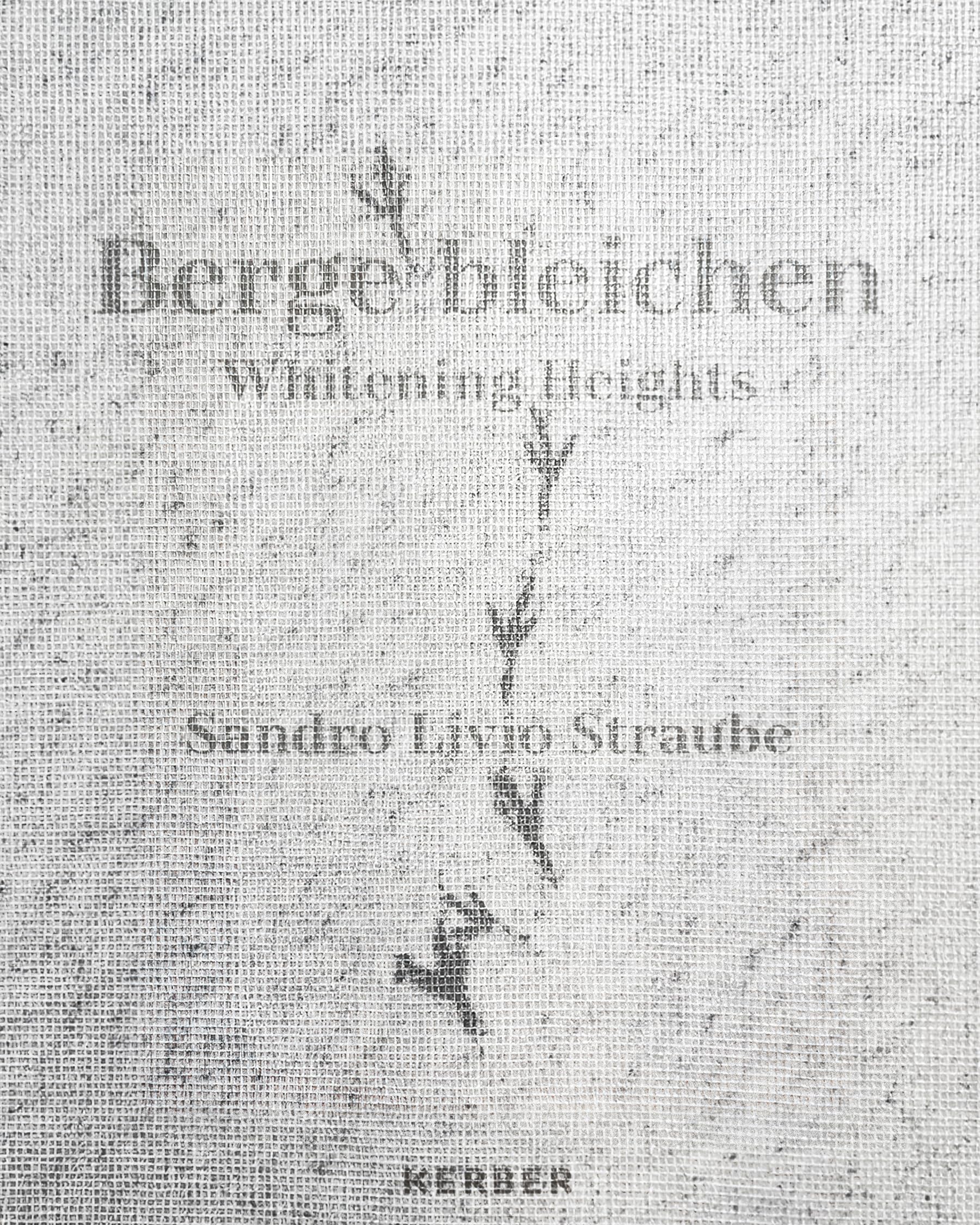 Whitening Heights: Sandro Livio Straube: Berge bleichen