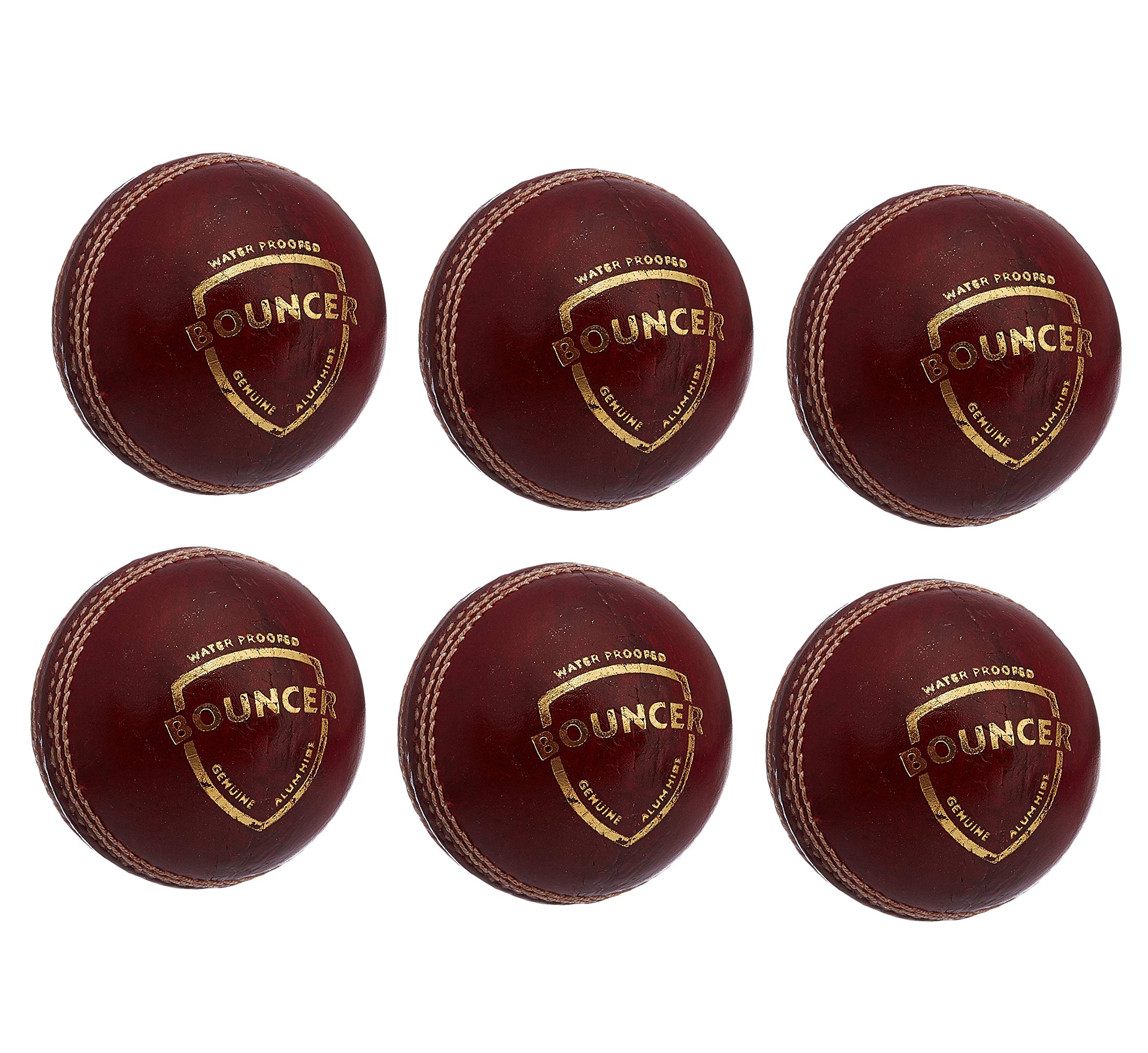 SG Bouncer Leather Ball, Pack of 6 (B07JWFH7BN) Amazon Price History, Amazon Price Tracker