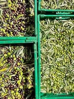 Vista 5 de Il Tratturello Aceite de Oliva Virgen Extra - Molise, Italia - 16.9 fl oz