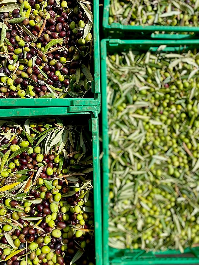 Aceite de Oliva Extra Virgen Il Tratturello 500 ml miniatura 6