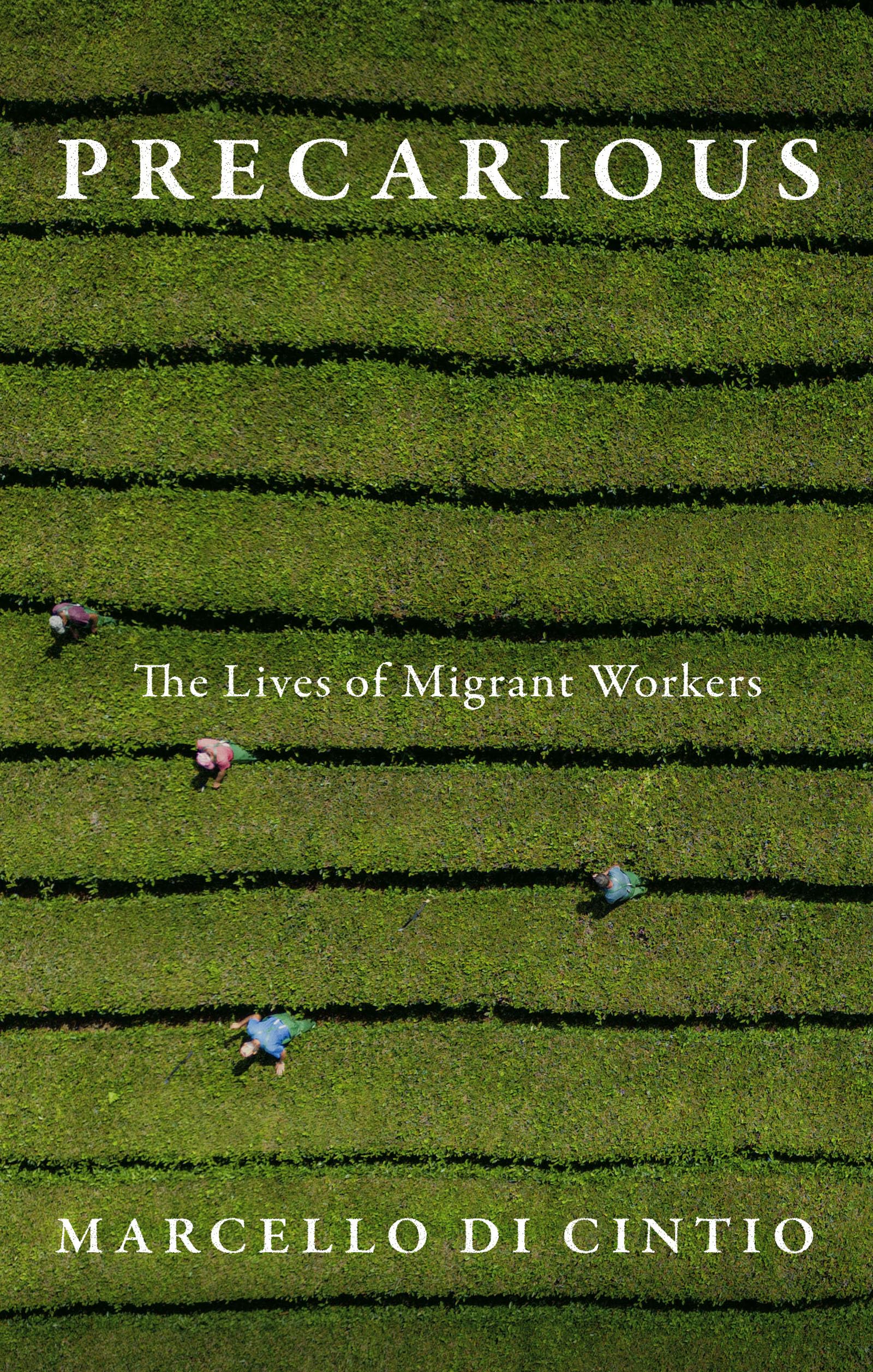 Precarious: The Lives of Migrant Workers