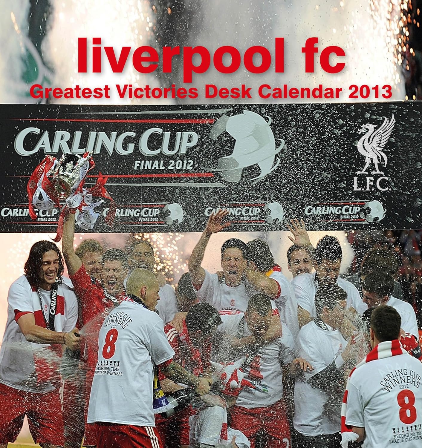 Official Liverpool FC Desk Easel 2013 Calendar