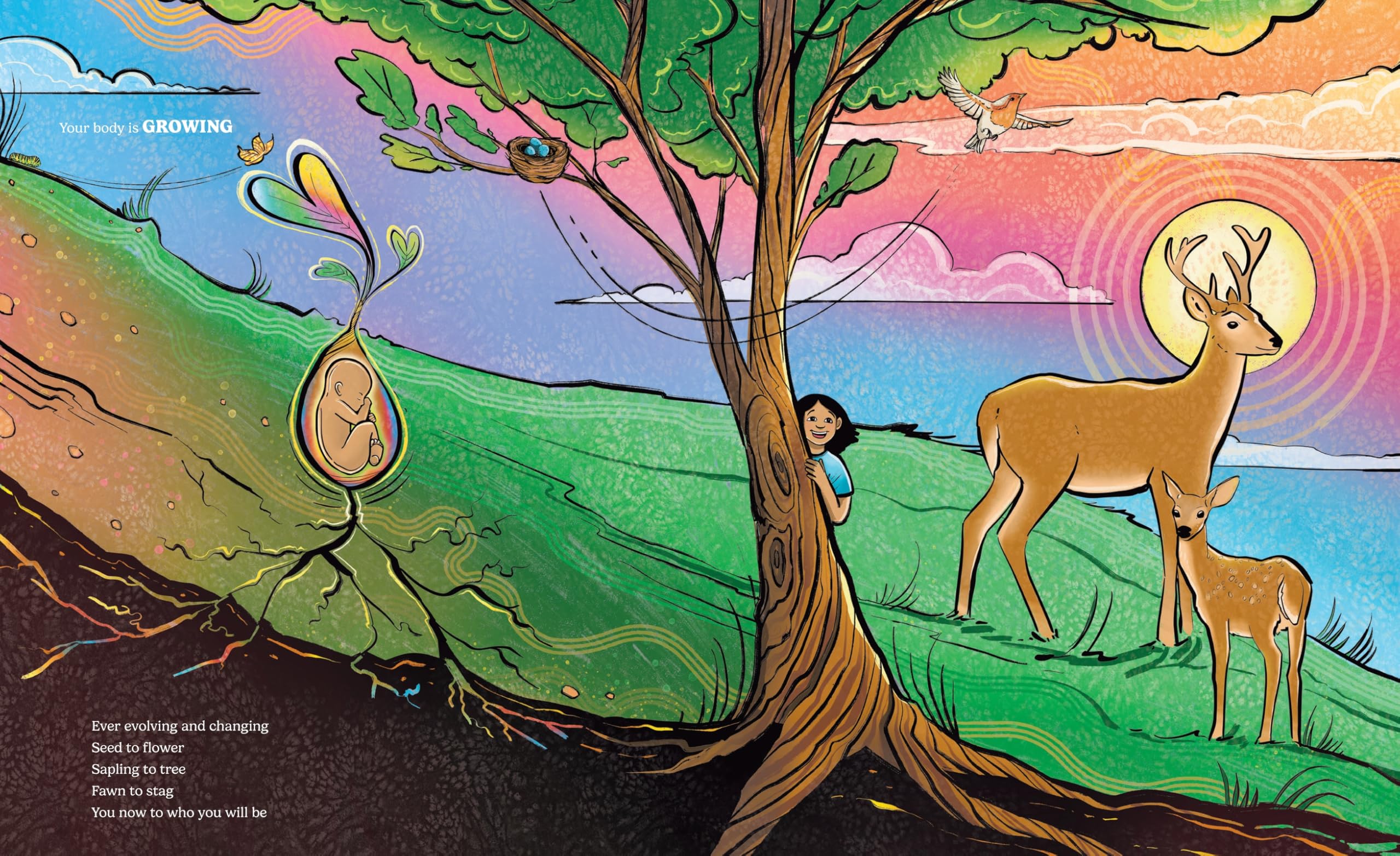 Body Beautiful: A Picture Book