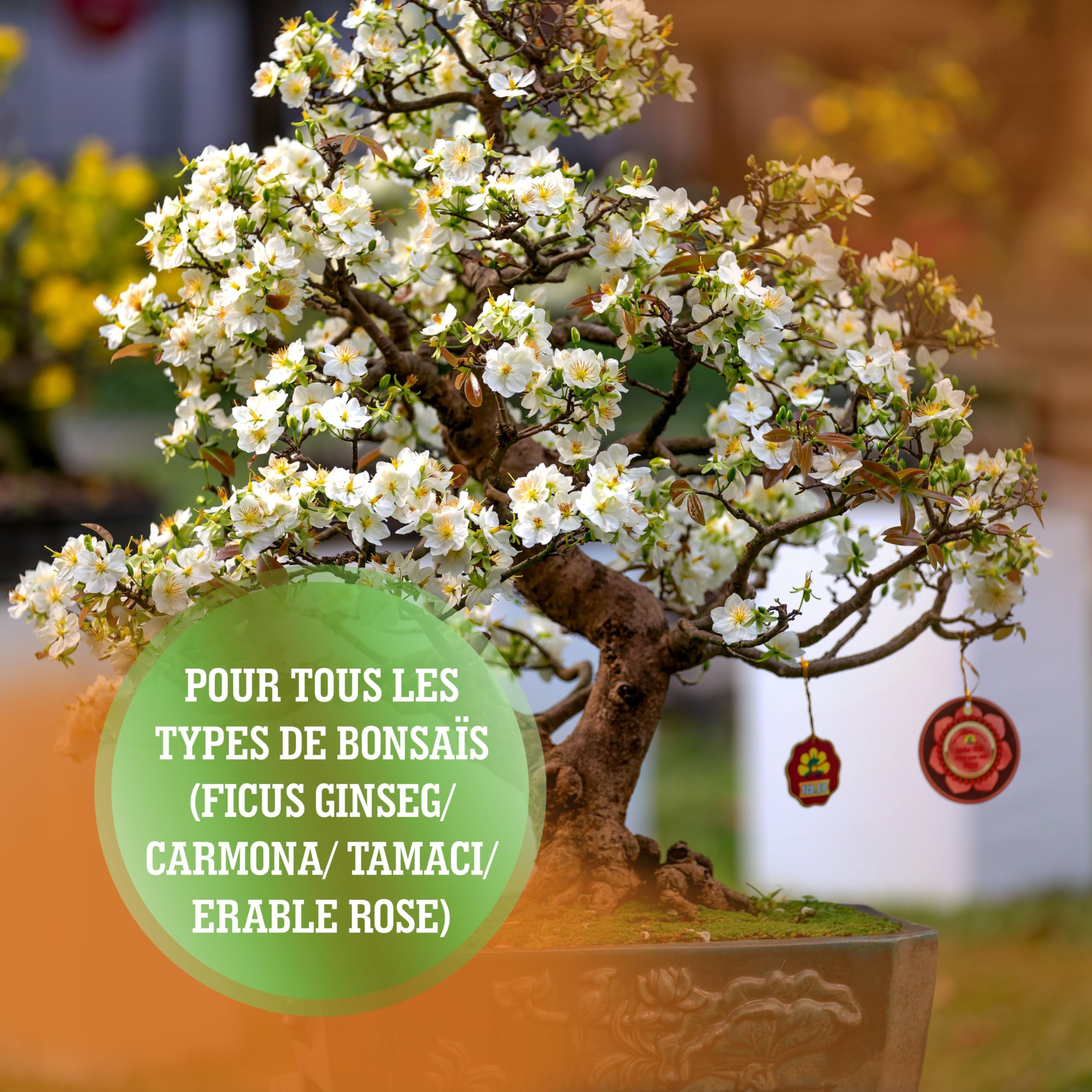 LERAVA Engrais Bonsai Liquide 330ml avec Tapo Doseur - Engrais Ficus Ginseng, Carmona, Tamac - Favorise Lignification - Made in Italy