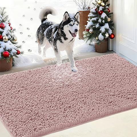 IM HOME Chenille Absorbent Outdoor Doormat 48