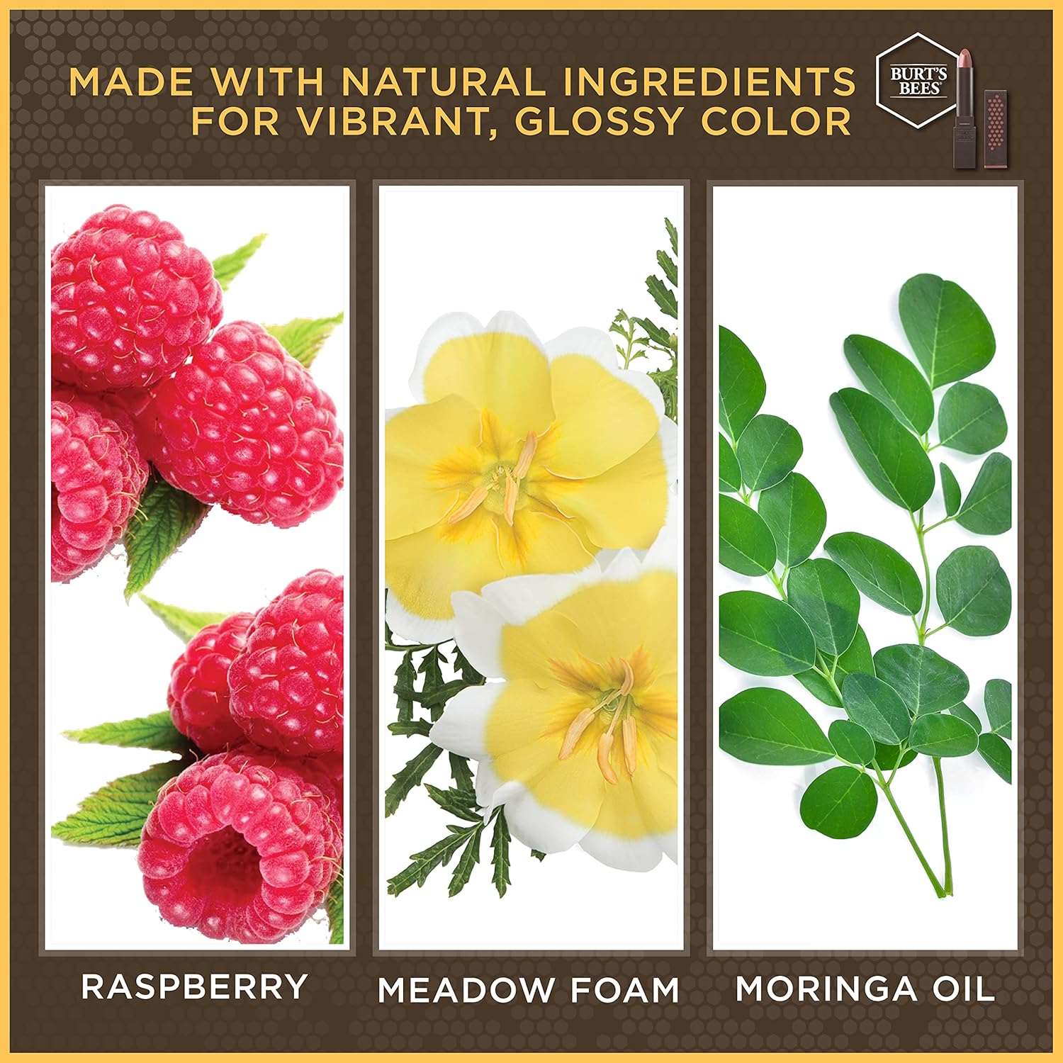 Burts Bees 100% Natural Glossy Lipstick, Peony Dew - 1 Tube : Beauty & Personal Care