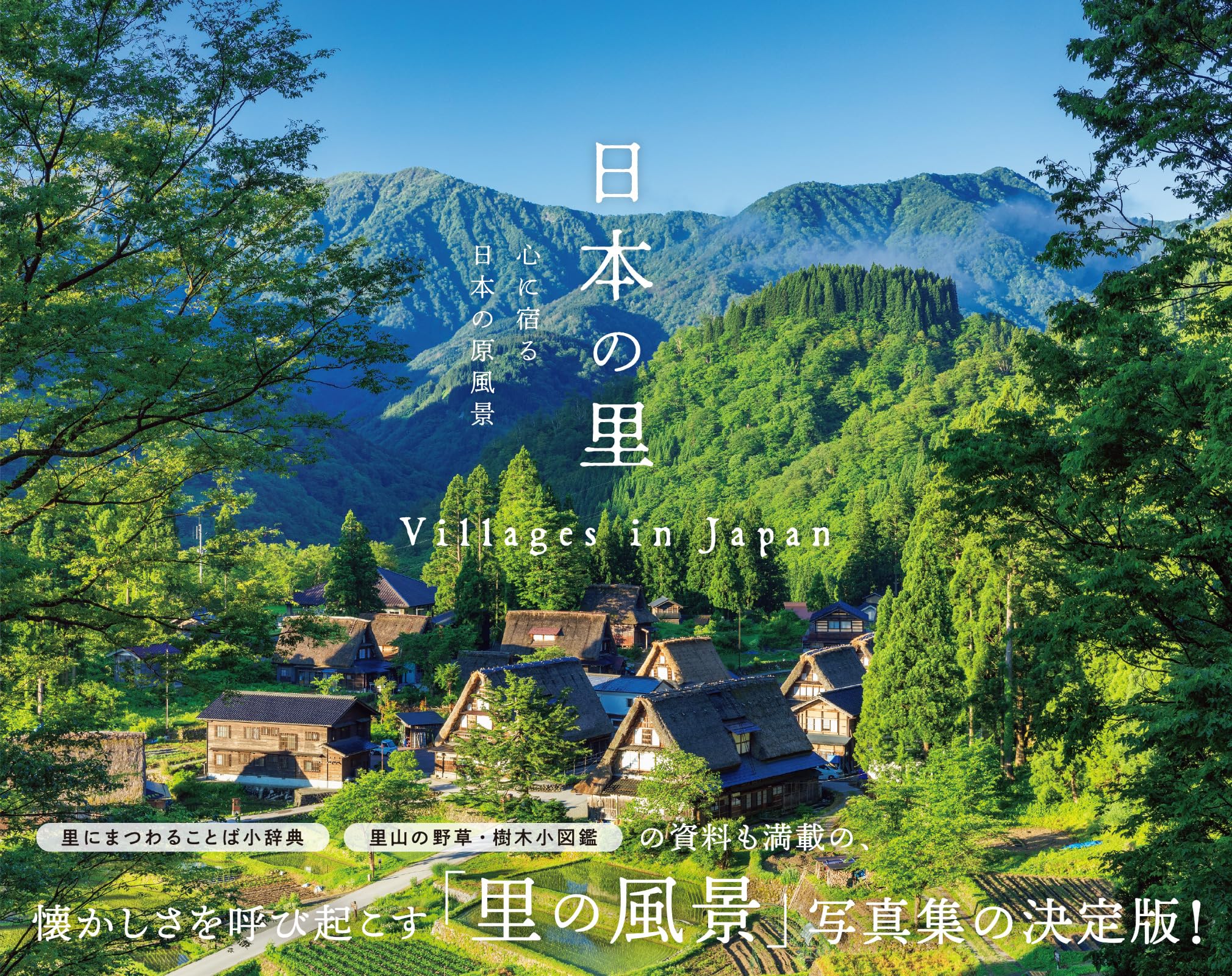 空中写真集　日本の自然と社会 空中写真集 日本の自然と社会 日本の自然と社会 : 空中写真集(