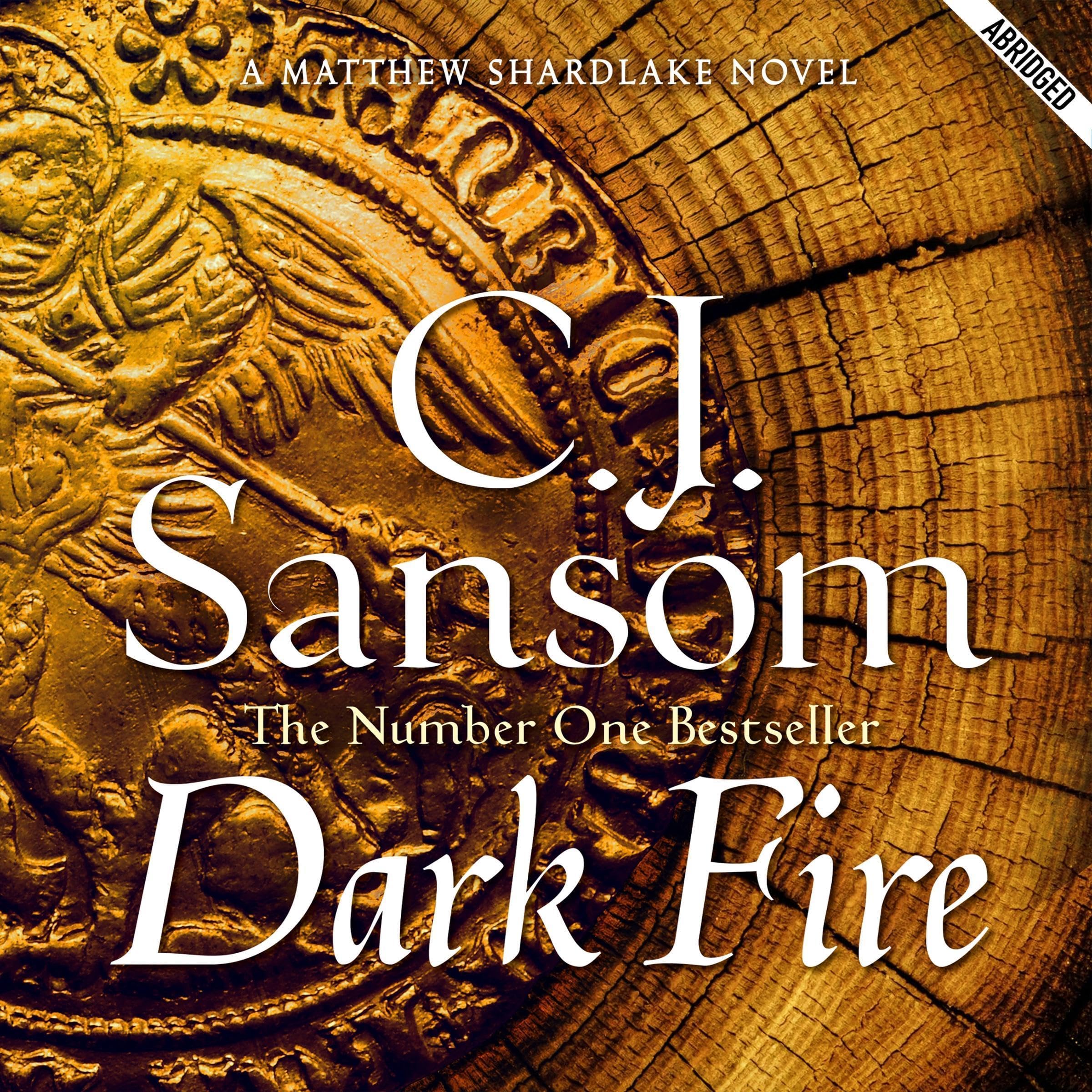 Cover art for Dark Fire