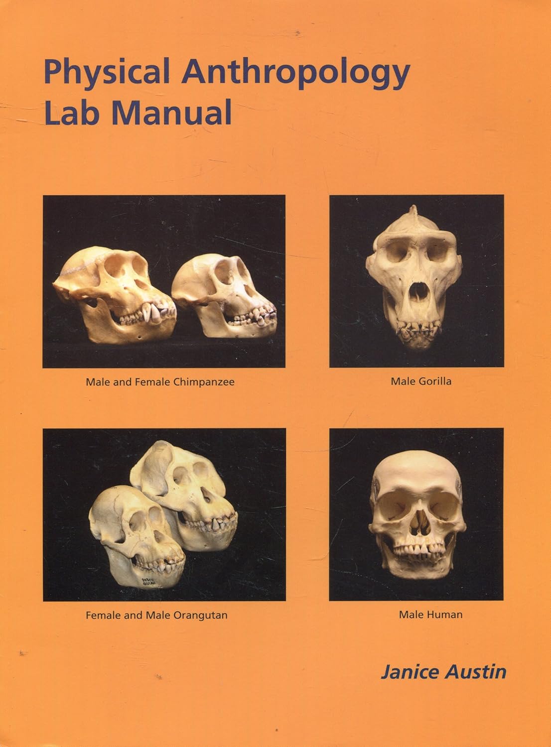 BIOLOGICAL PHYSICAL ANTHROPOLOGY LAB MANUAL visual data 3
