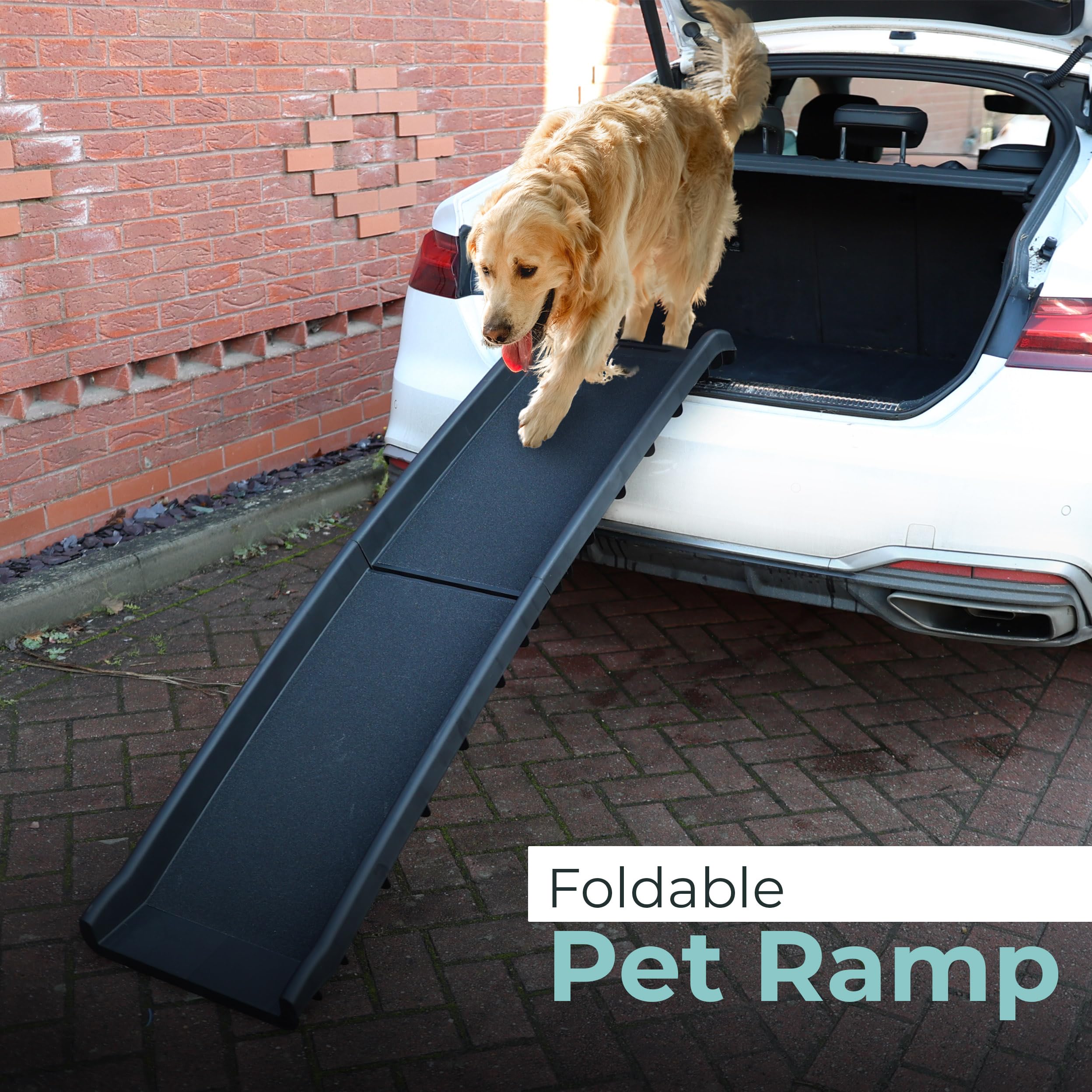 DIVCHI Rampe antidérapante pour Chien Rampes légères et Portables en Plastique Pliable (Noir)
