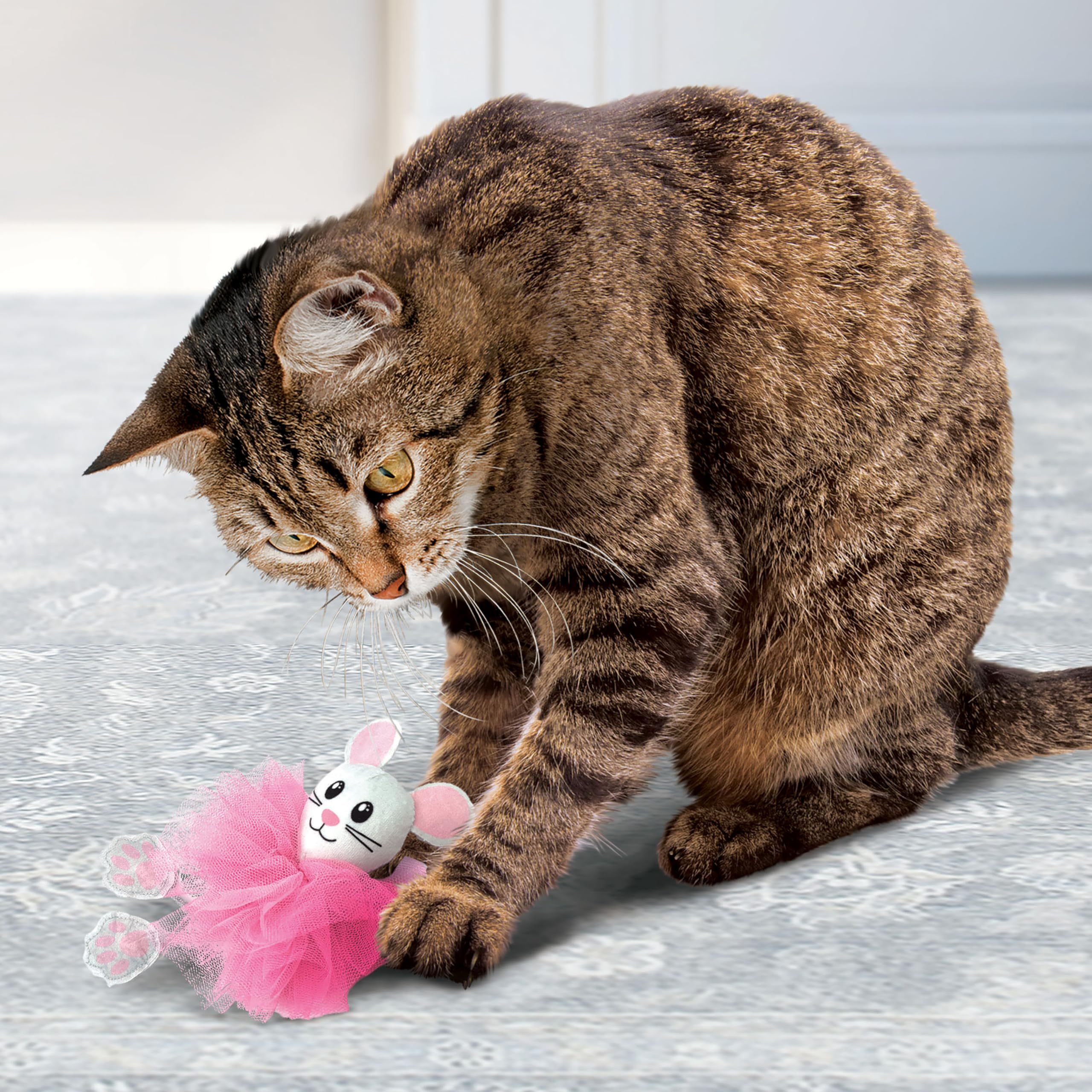 Amazon.com : KONG Flingaroo Tutu Catnip Cat Toy, Assorted