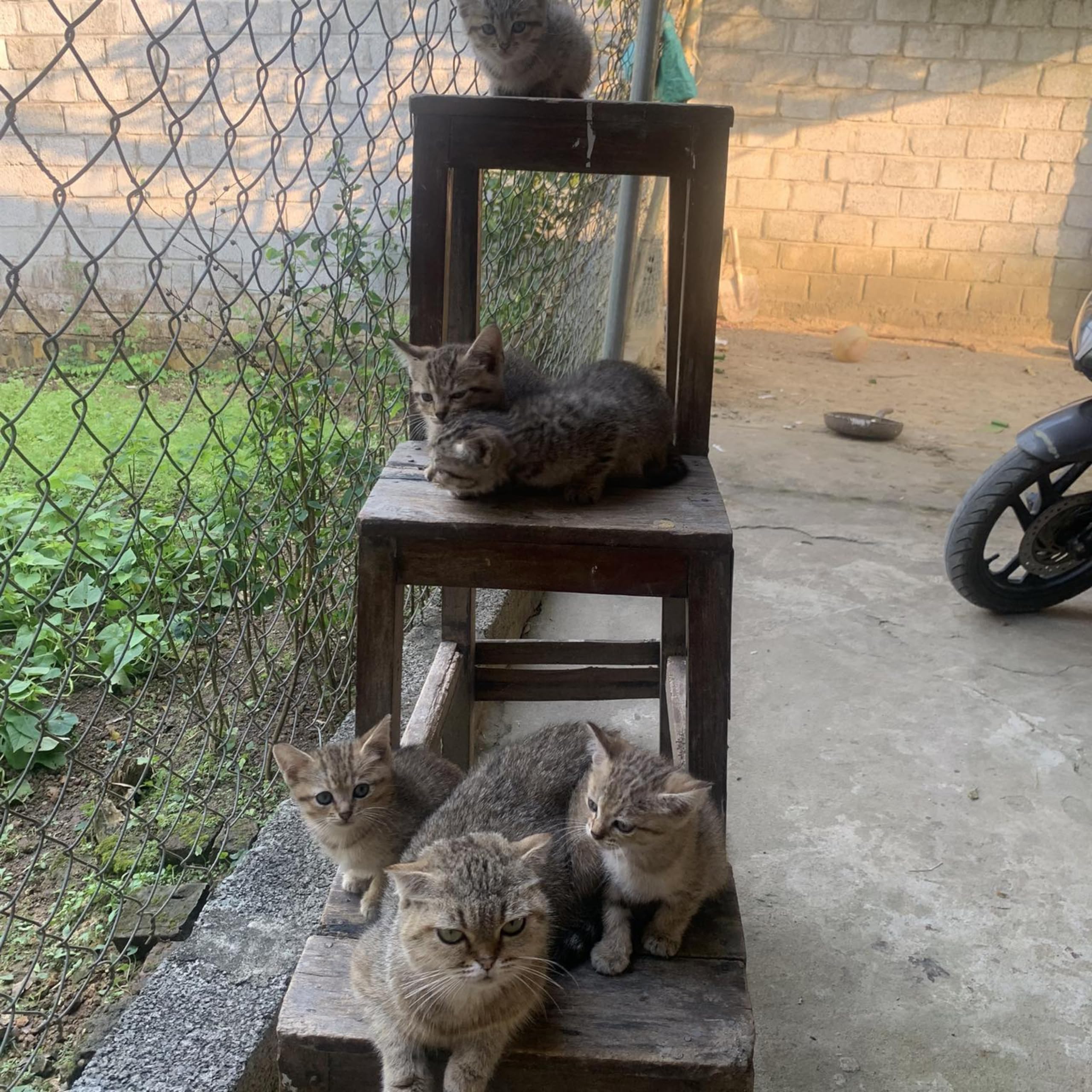 Lường Minh Dương