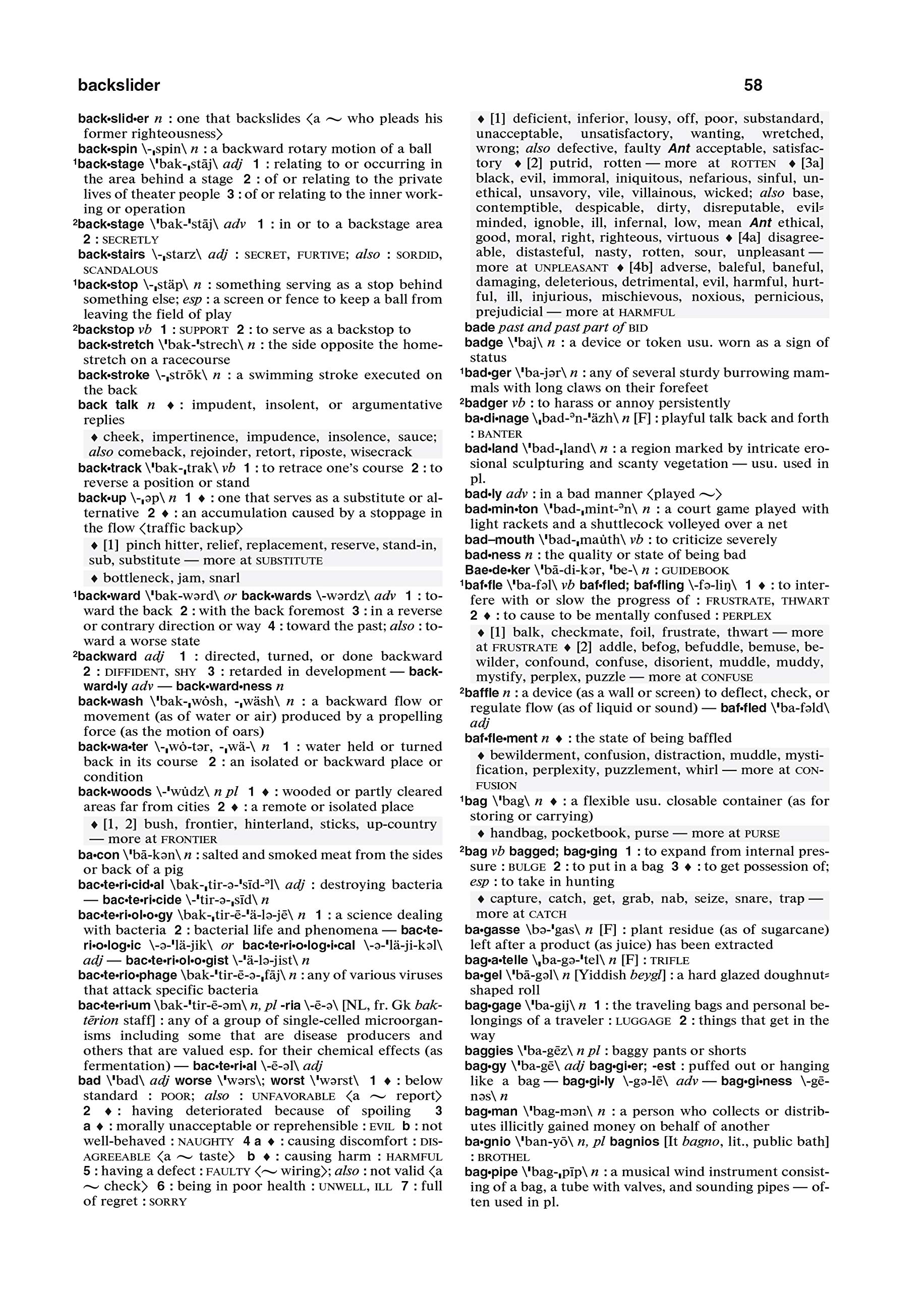 Merriam-Webster's Dictionary and Thesaurus - Image 4