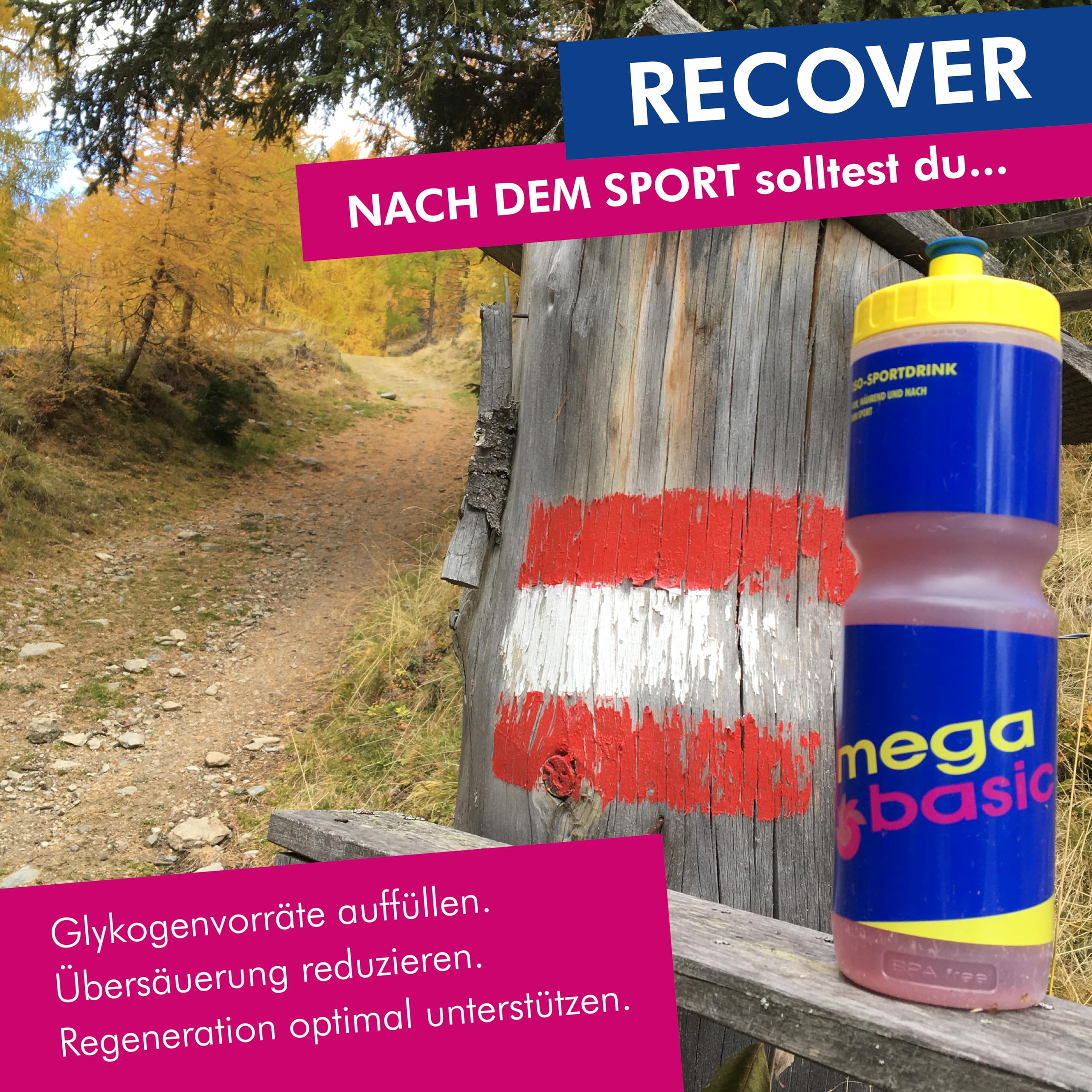 HYDRATION BOOSTER - Elektrolyt Pulver - Basisch-Isotonisches Sportgetränk, Premium Elektrolyte - Für Sport, schnelle Regeneration & optimale Hydratation - 20x20g Sticks - Zitrone