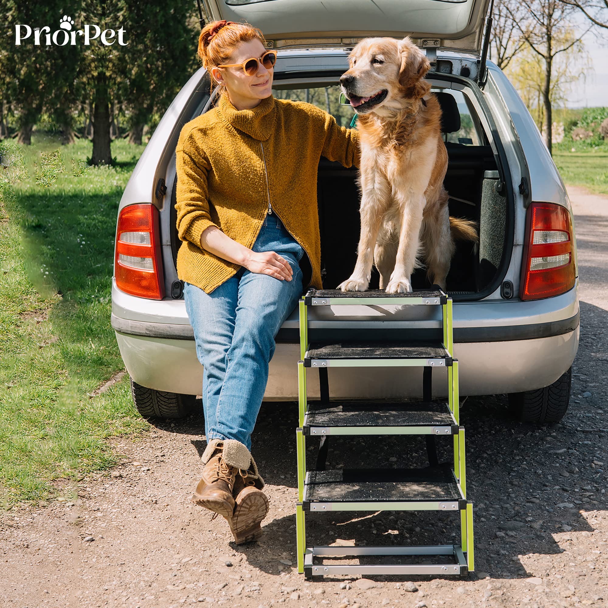 Escalera para Perros pequeños o Grandes PRIORPET - Marca Que Brilla en la Oscuridad - Rampa de Coche Plegable - Adecuada para Todos los Coches - Superficie Antideslizante - 4 Escalones