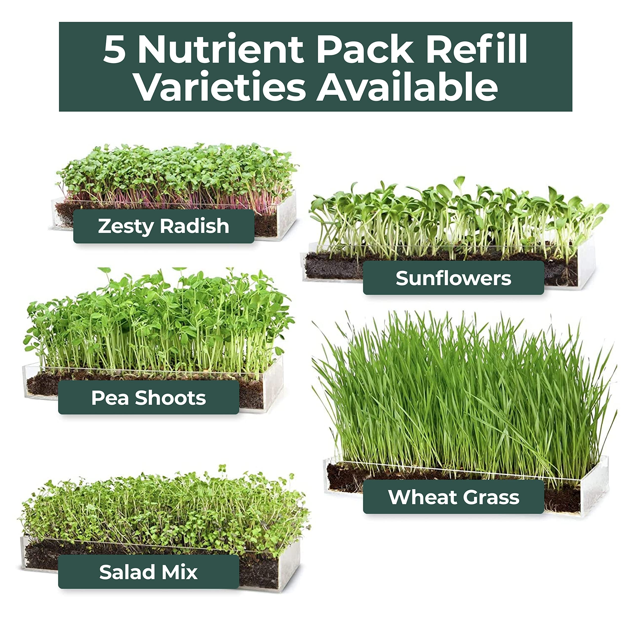 Window Garden Microgreens Grow Kit - Non GMO, Organic Microgreen Seeds