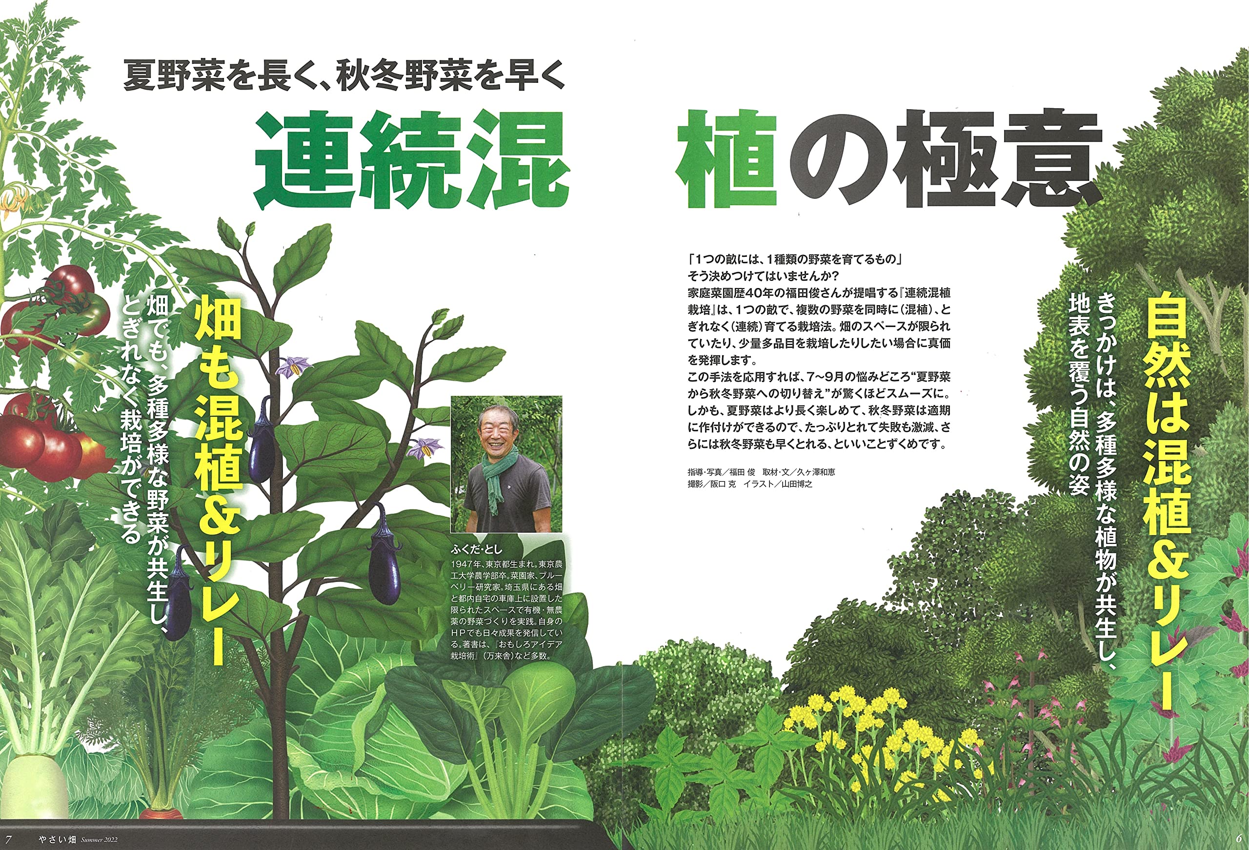 やさい畑 夏号 22年8月号 配送料無料