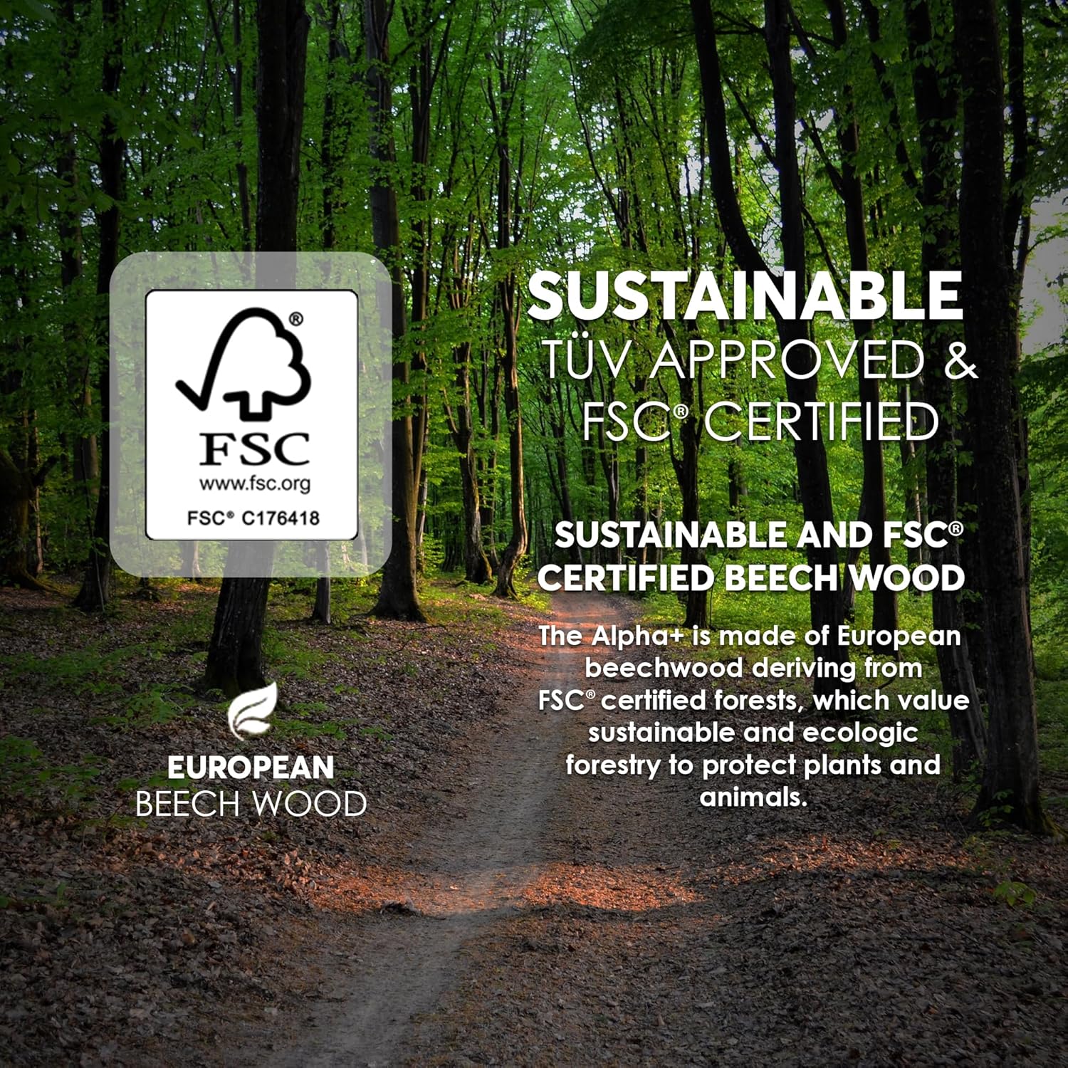 hauck Alpha+ Grow Along Seat Solid Beechwood Booster Chair with Adjustable Seat, 5 Point Safety Harness, & Bumper Bar for Infants & Toddlers, White