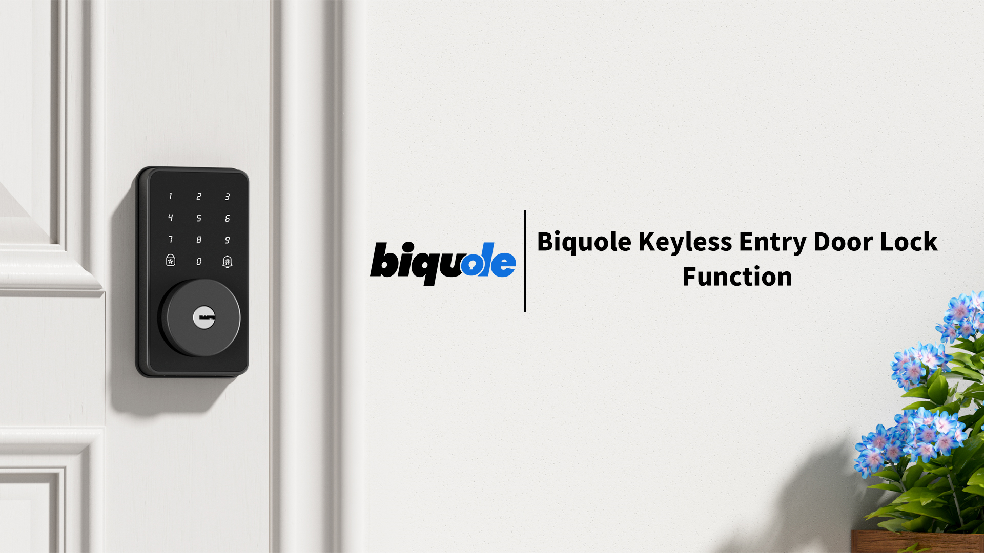 Biquole Keyless Entry Door Lock with Keypad-Electronic Door Lock