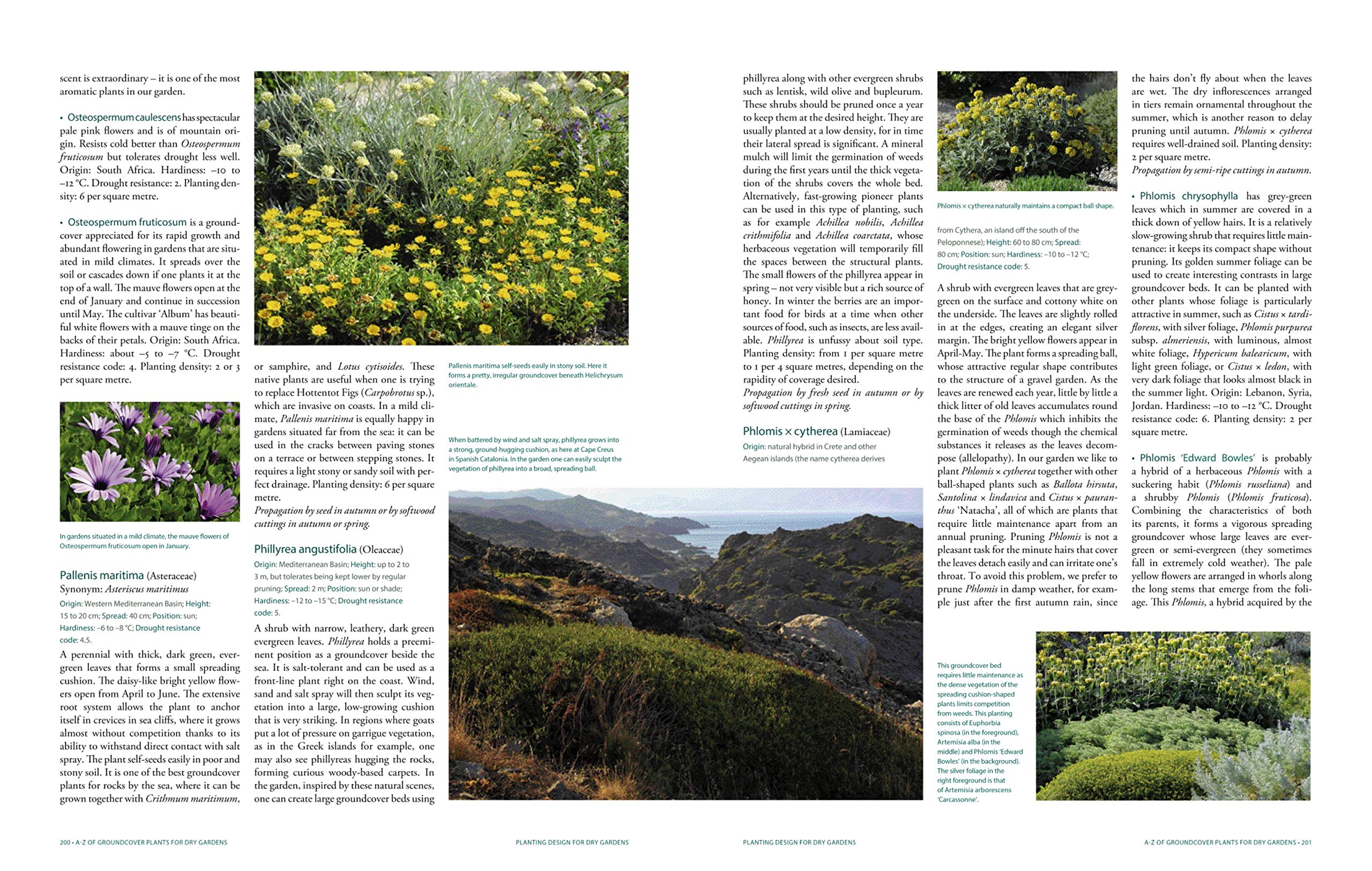 Planting Design for Dry Gardens: Beautiful, Resilient Groundcovers for Terraces, Paved Areas, Gravel and Other Alternatives to the Lawn