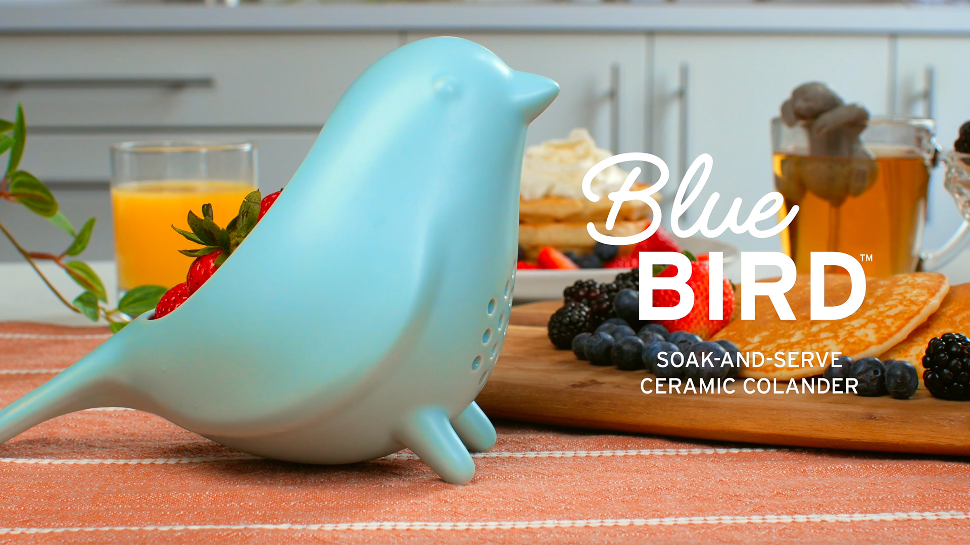 Amazon.com: Genuine Fred BLUE BIRD Ceramic Colander, Charming