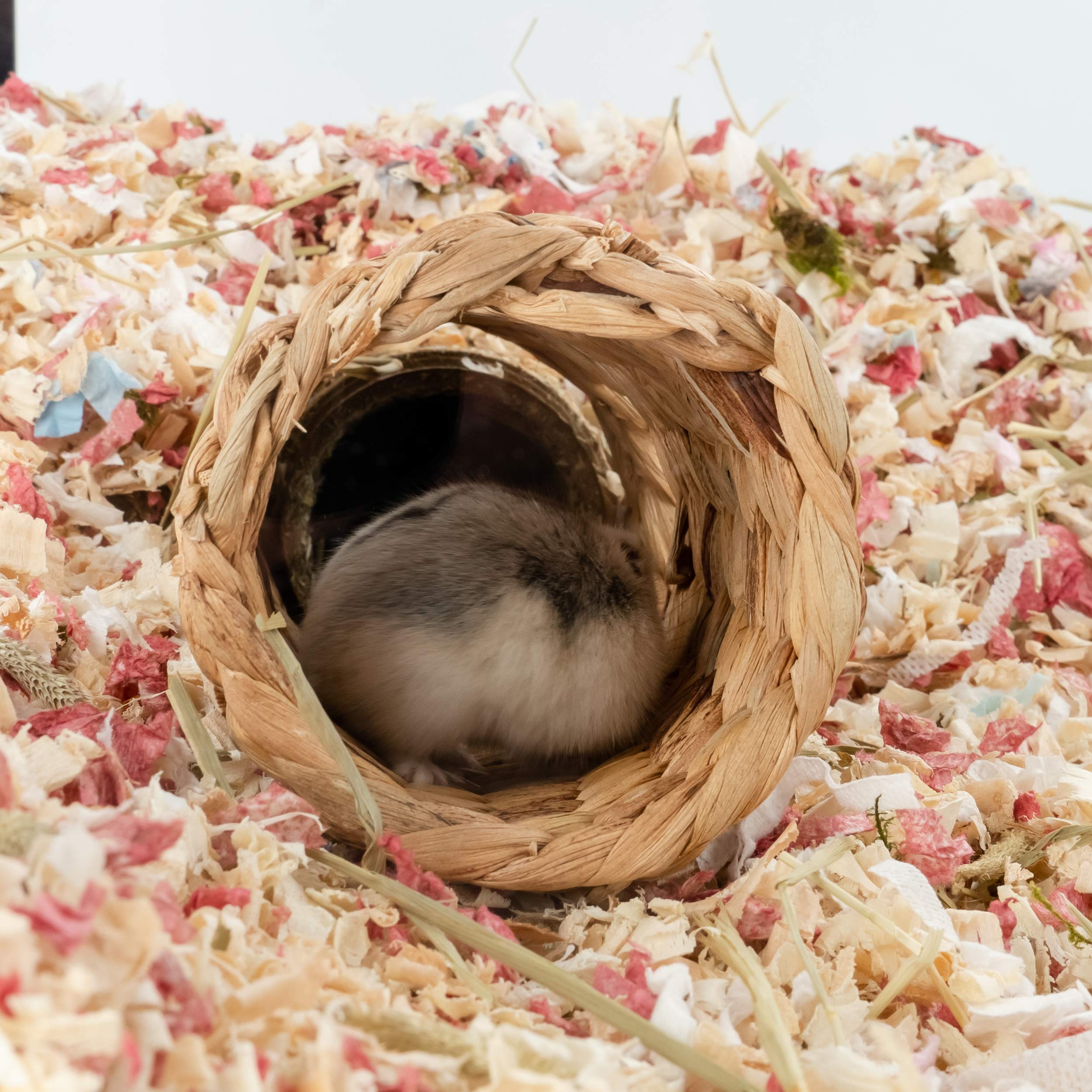 Hamster Tubes And Tunnels Set Plastic Hamster Tube Hamster Cage